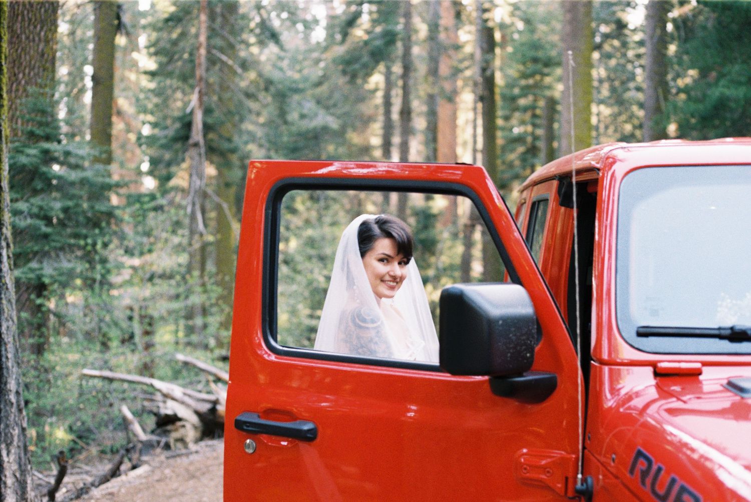 Vintage red truck parked among tall evergreen trees in a forest setting.