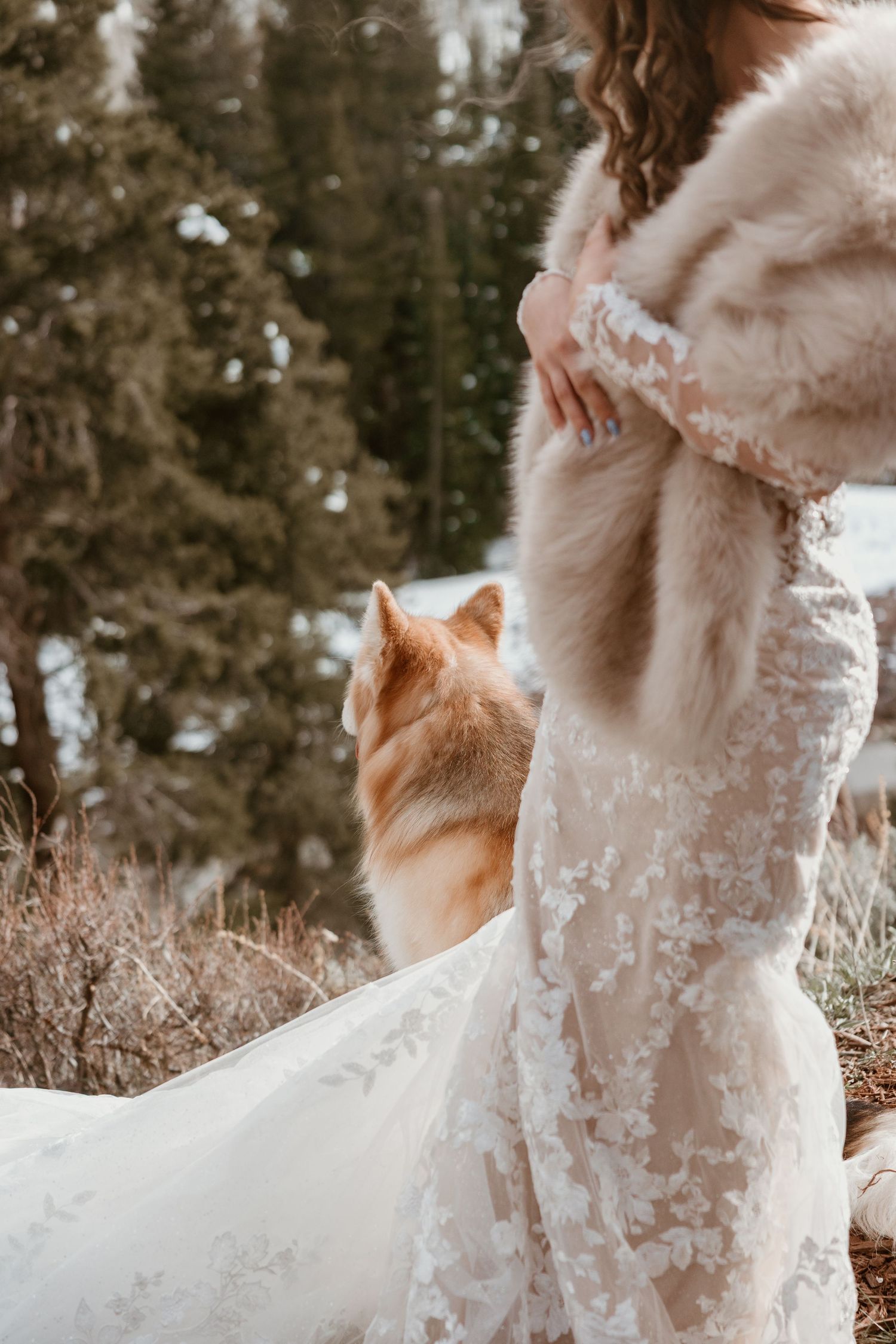Wedding dress detail with delicate lace sleeves and a ginger cat in the background.