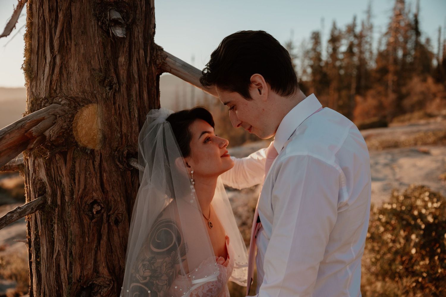 A romantic wedding moment captured at sunset with warm golden light filtering through trees.