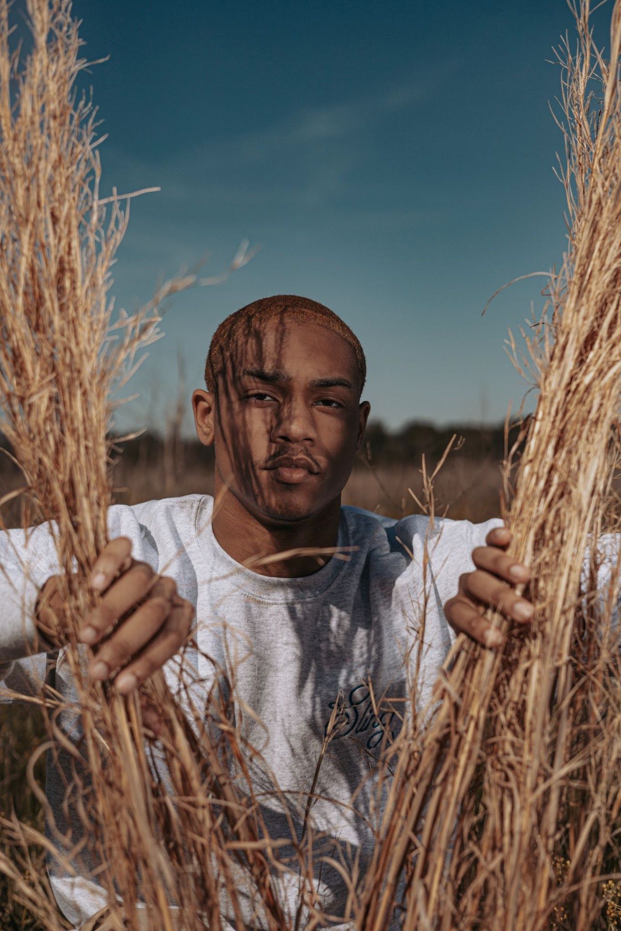 Through dry golden wheat stalks, a person wearing a white shirt peers out into a dusky blue sky.