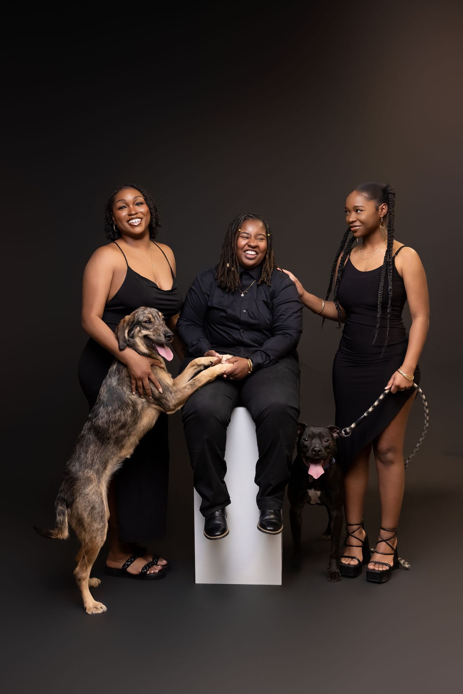 Three women in black attire pose with two large dogs against a dark studio backdrop.