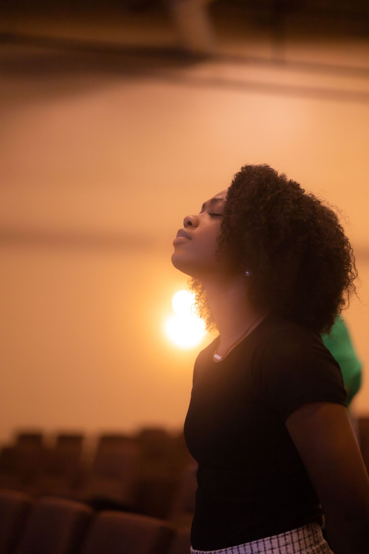 A silhouette of a person with natural hair against a warm sunset glow.