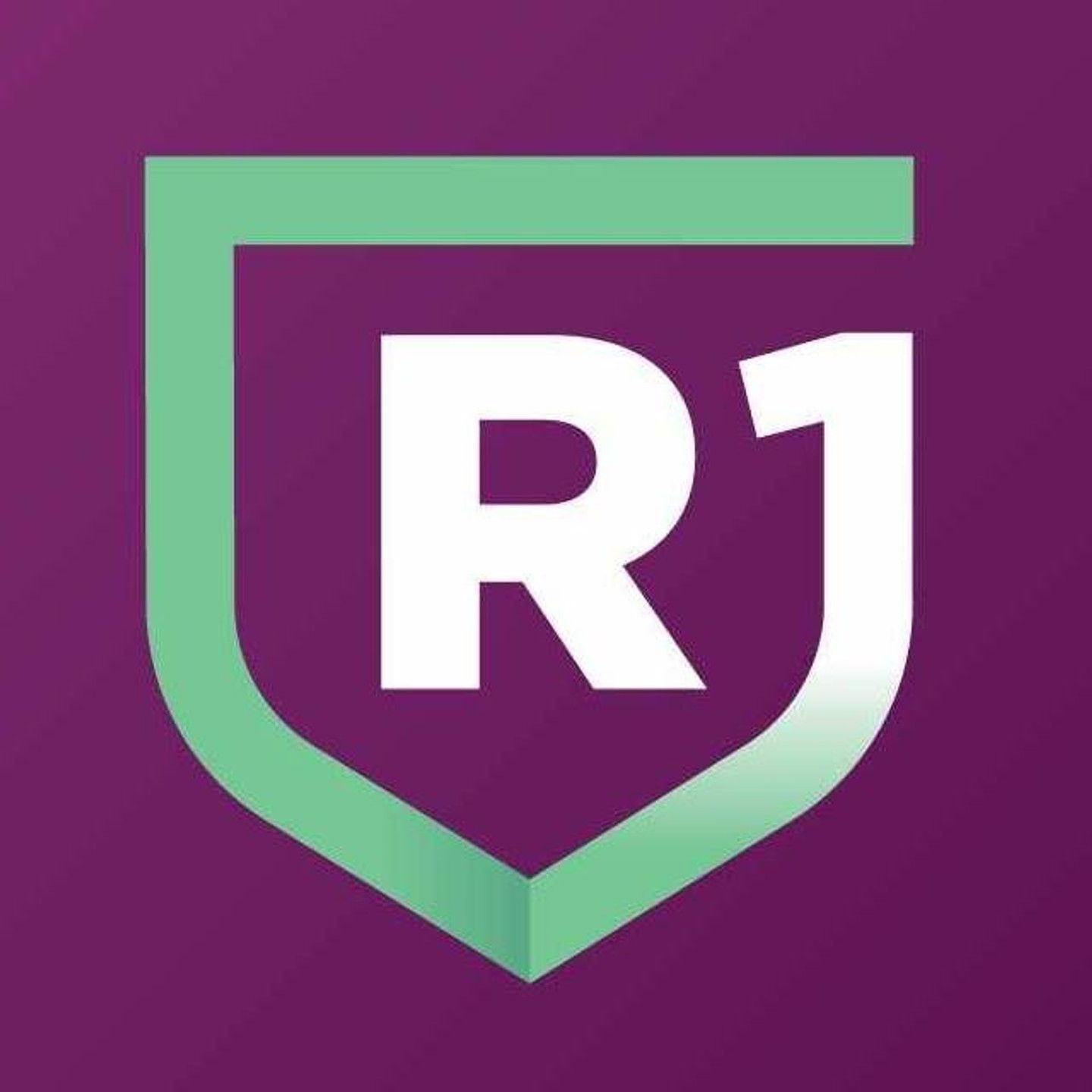 Purple and teal shield logo designs in a row showing brand identity variations.