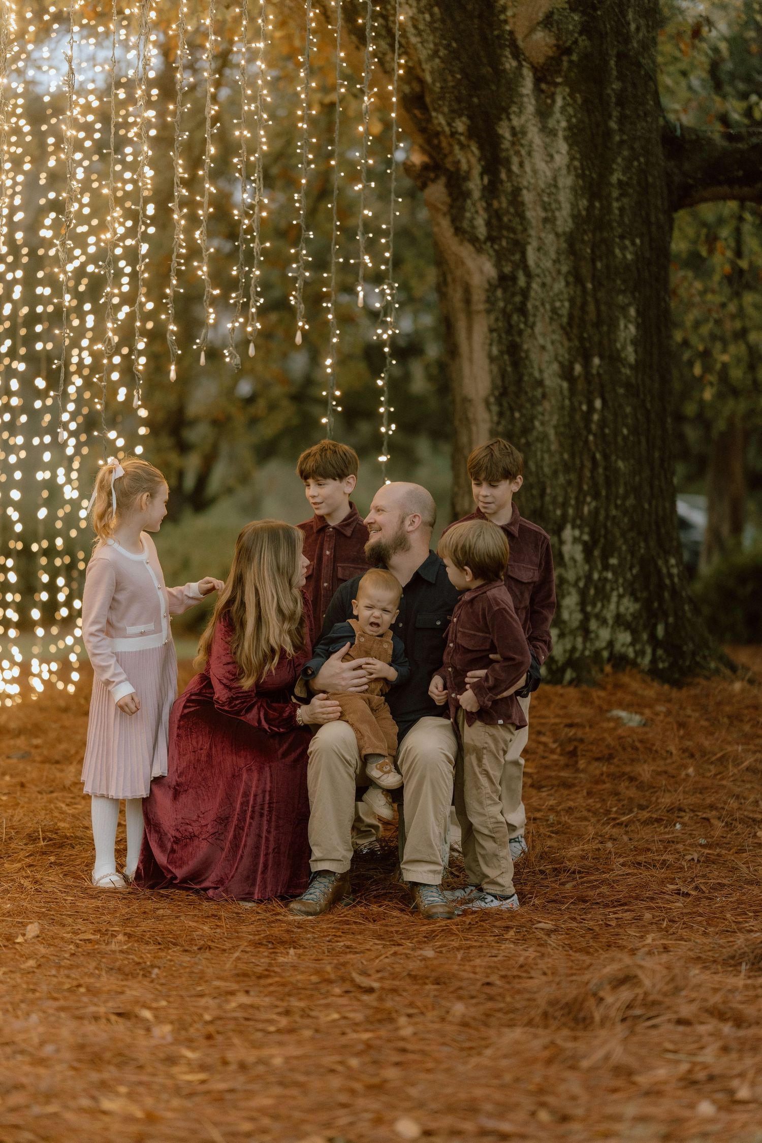 A family in coordinated burgundy and neutral outfits poses together under a tree with twinkling fairy lights at dusk.