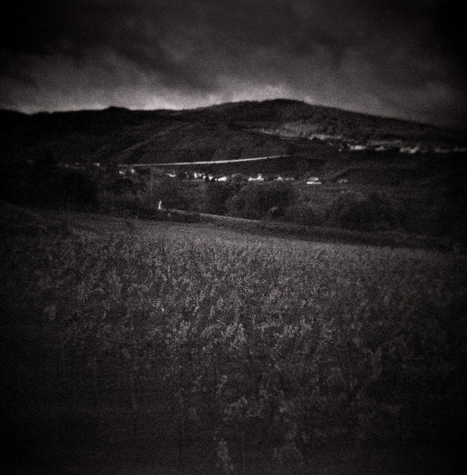 Moody black and white landscape of a vineyard-covered hillside under dark storm clouds, with a small village in the distant valley.