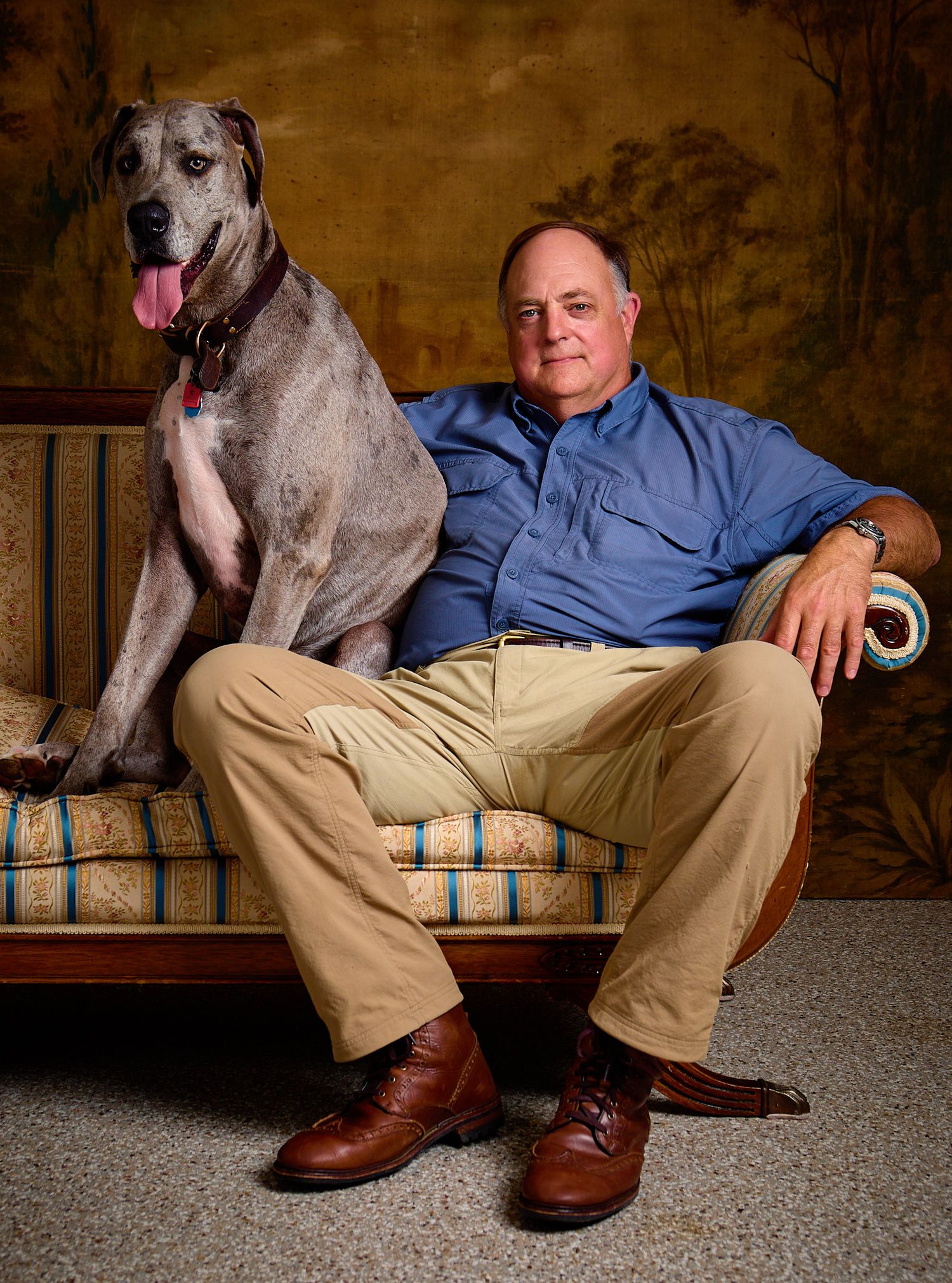 A man in a blue shirt and khaki pants sits on a striped sofa beside a large gray Great Dane with its tongue out.