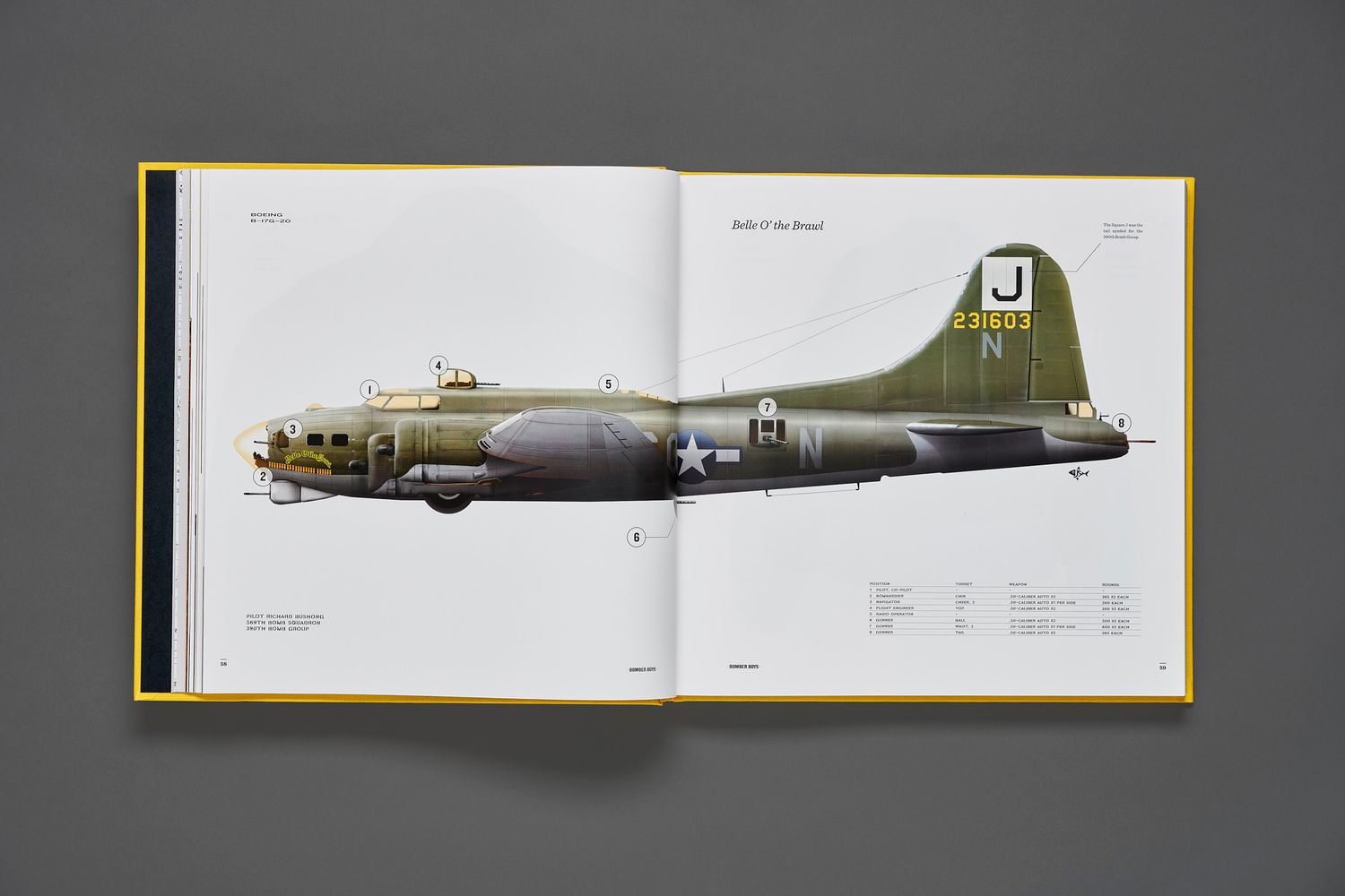 Bomber Boys book spread with a detailed side profile illustration of a green WWII B-17 Flying Fortress bomber with tail letter J.