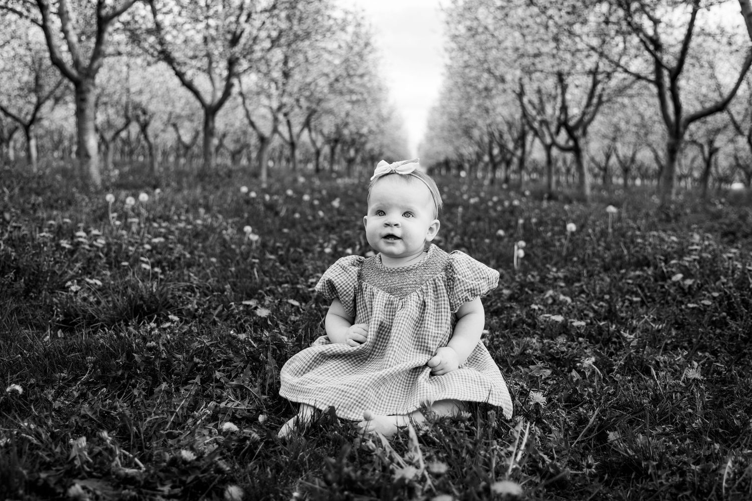 Logan, Utah Family Photographer.