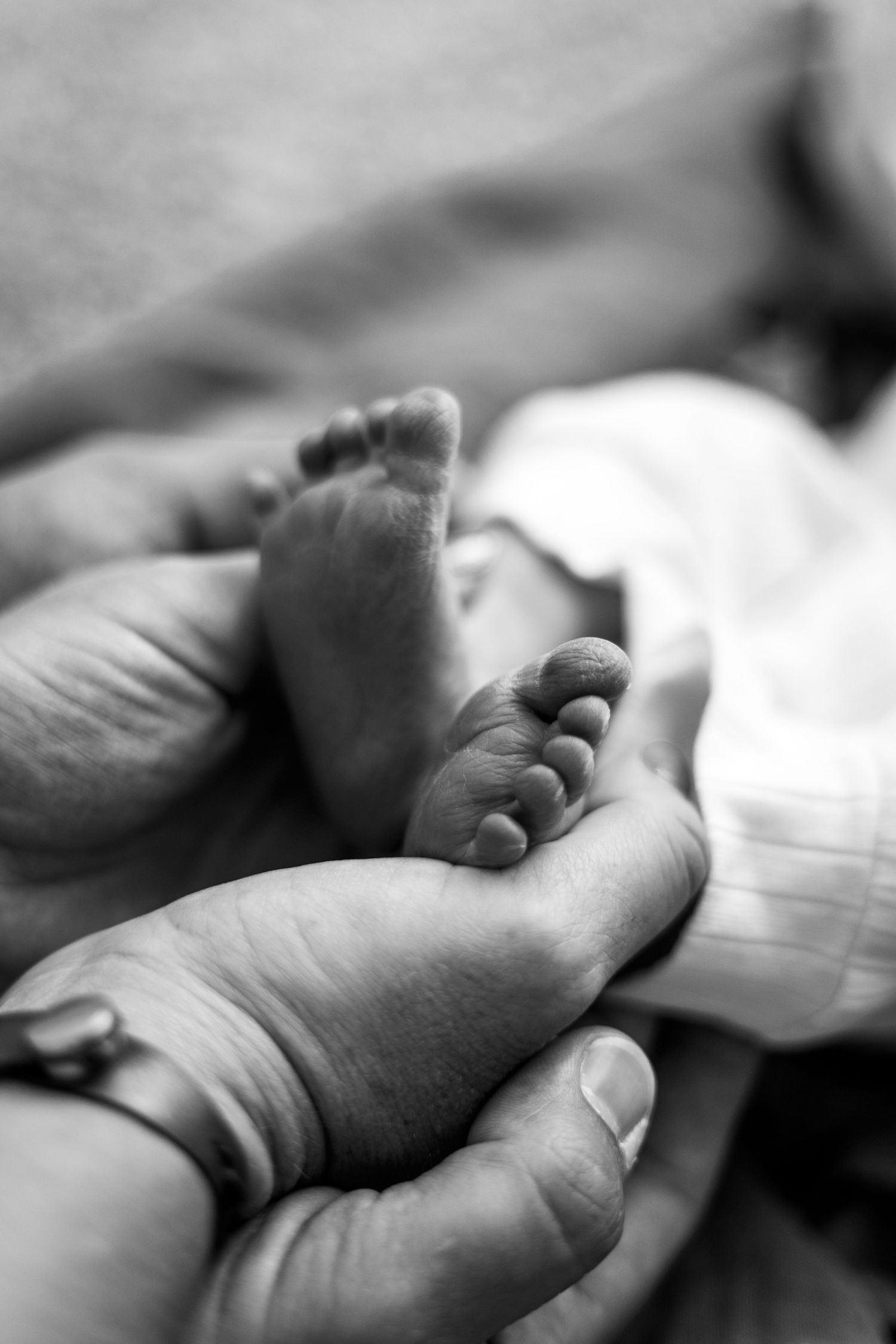 Logan, Utah Newborn Photographer.