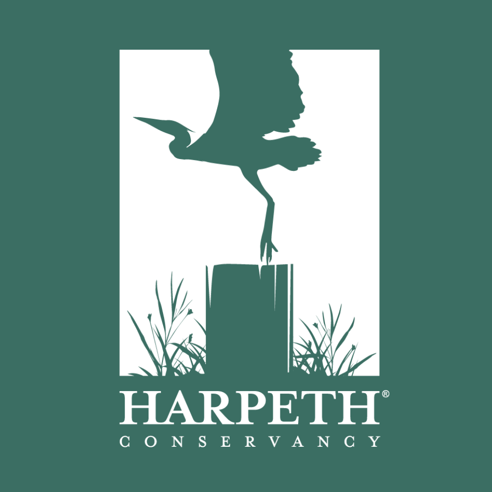 Harpeth Conservancy logo featuring a heron silhouette on a post with marsh grass on teal background.
