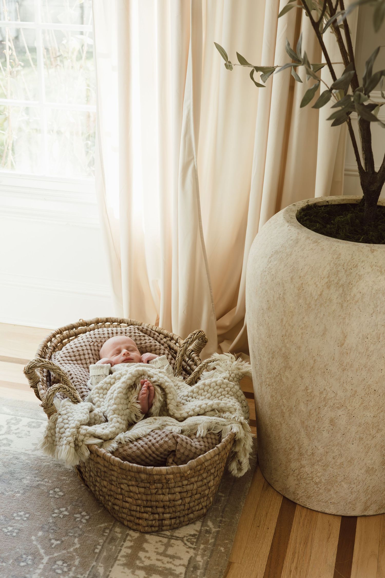 A sleeping newborn baby boy curled up comfortably in a woven basket near a window with sheer curtains and potted plants for newborn shoot.