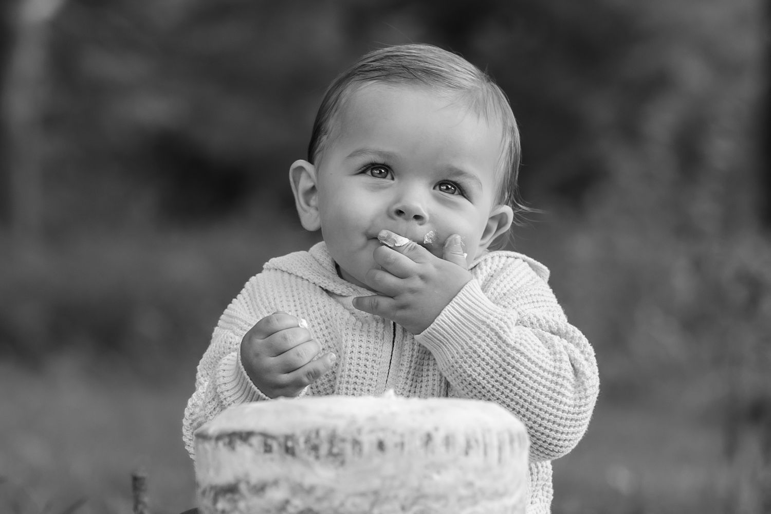 Black and white portrait of a small child in a knit sweater behind a cake tastes the frosting for milestone birthday photoshoot.