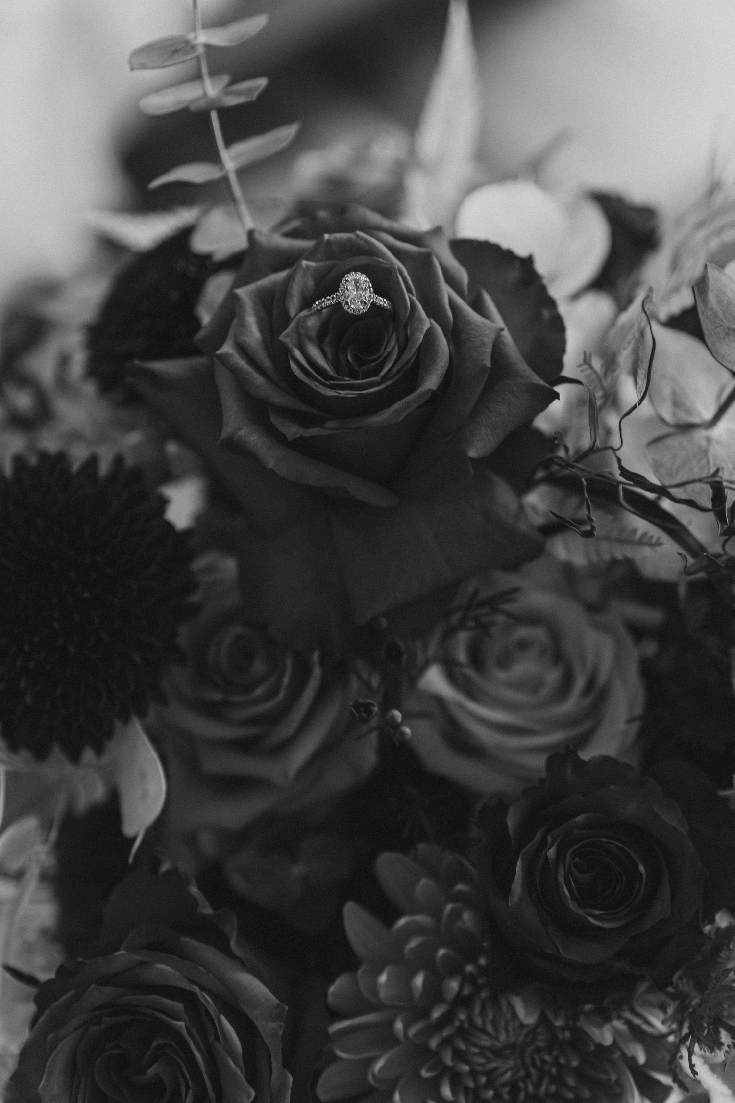 Black and white floral arrangement with dark roses and delicate foliage creates a moody, dramatic atmosphere.