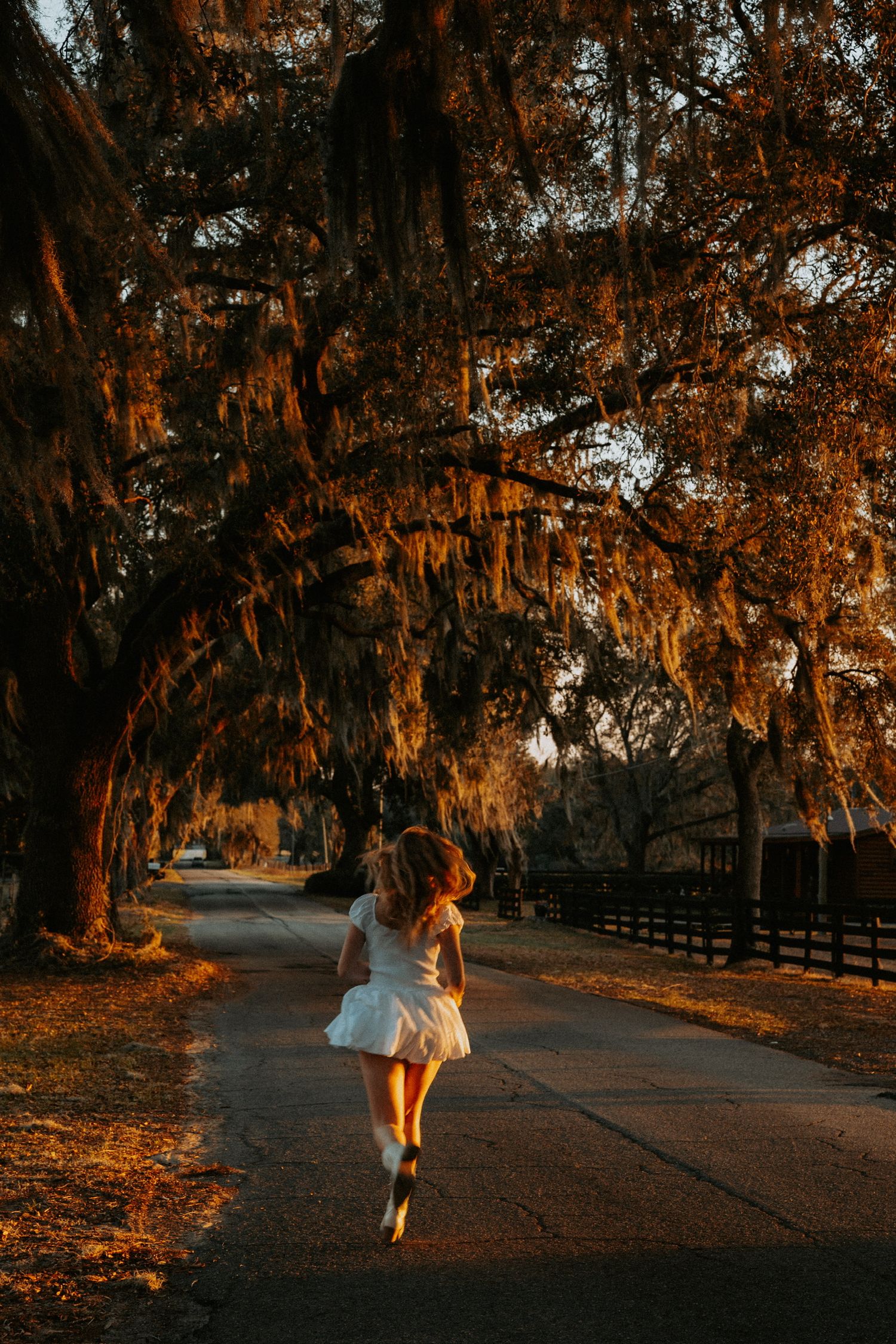 Woman in white dress walking under Spanish moss-draped oak trees at golden hour on a sunlit pathway.