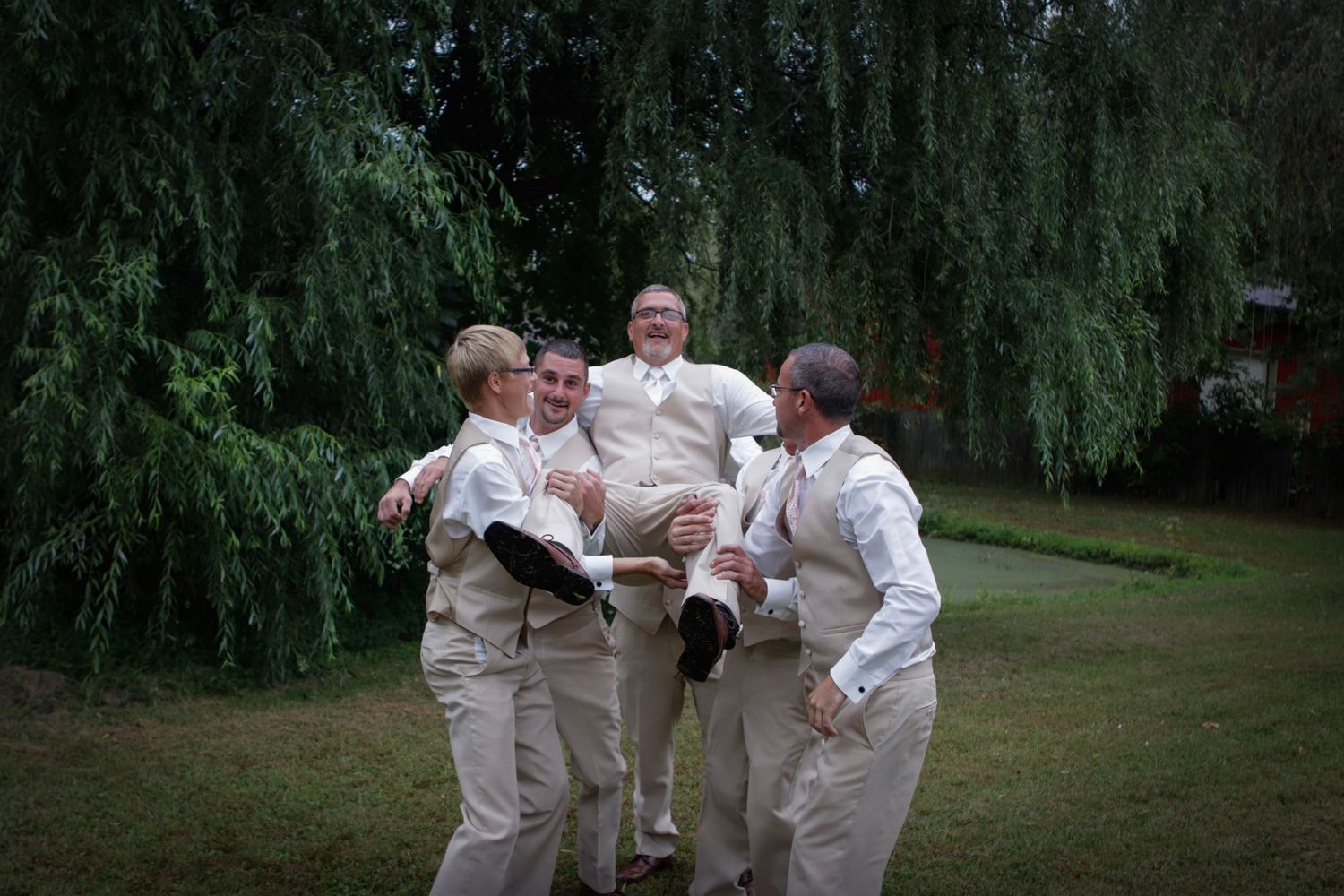 Groomsmen in tan vests lifting groom outdoors near weeping willow tree at wedding celebration.