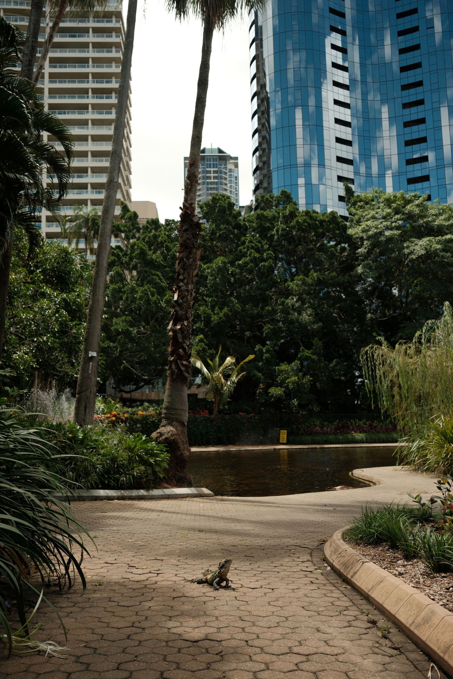 Fujifilm 23mm in Australia.