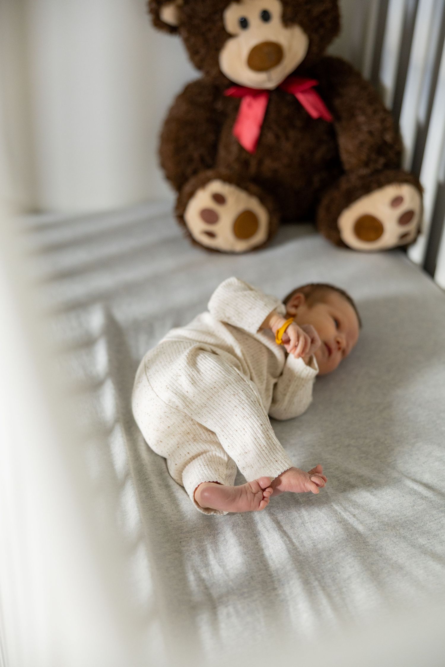 Family Milestone Session in Hamilton, Ontario.