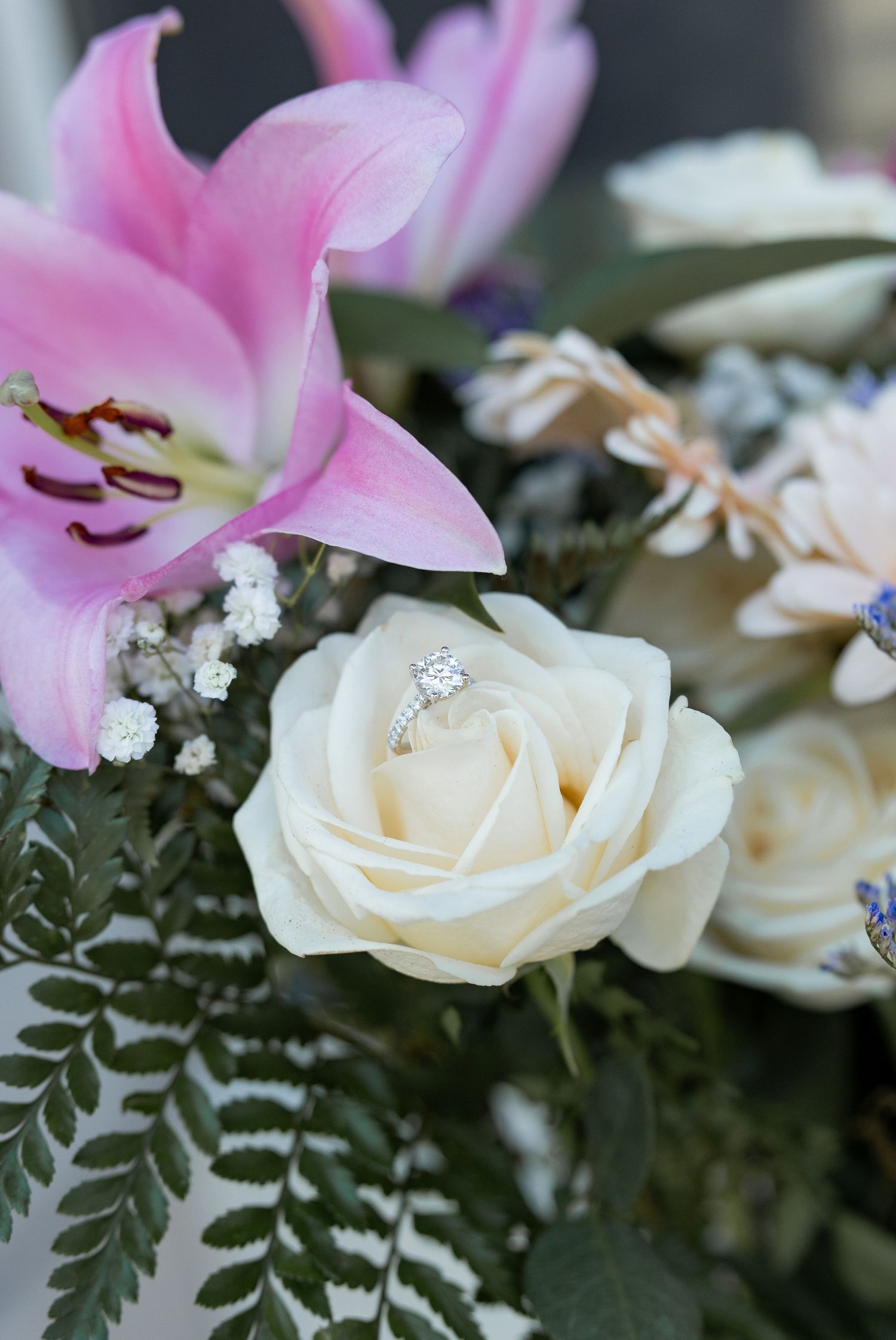 Proposal and Engagement Session at Burlington Village, Ontario.