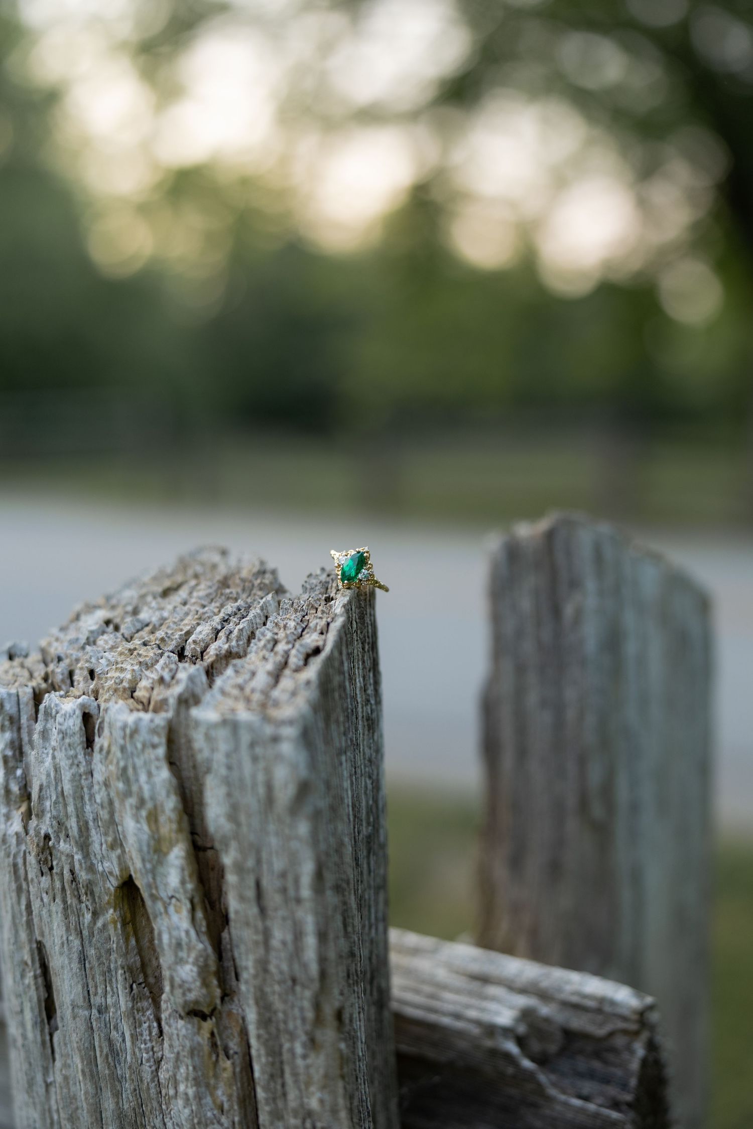 Engagement Session at Balls Falls, Ontario.