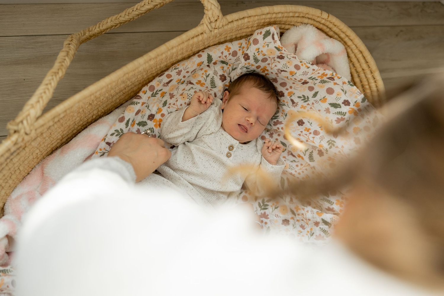 Family Milestone Session in Hamilton, Ontario.