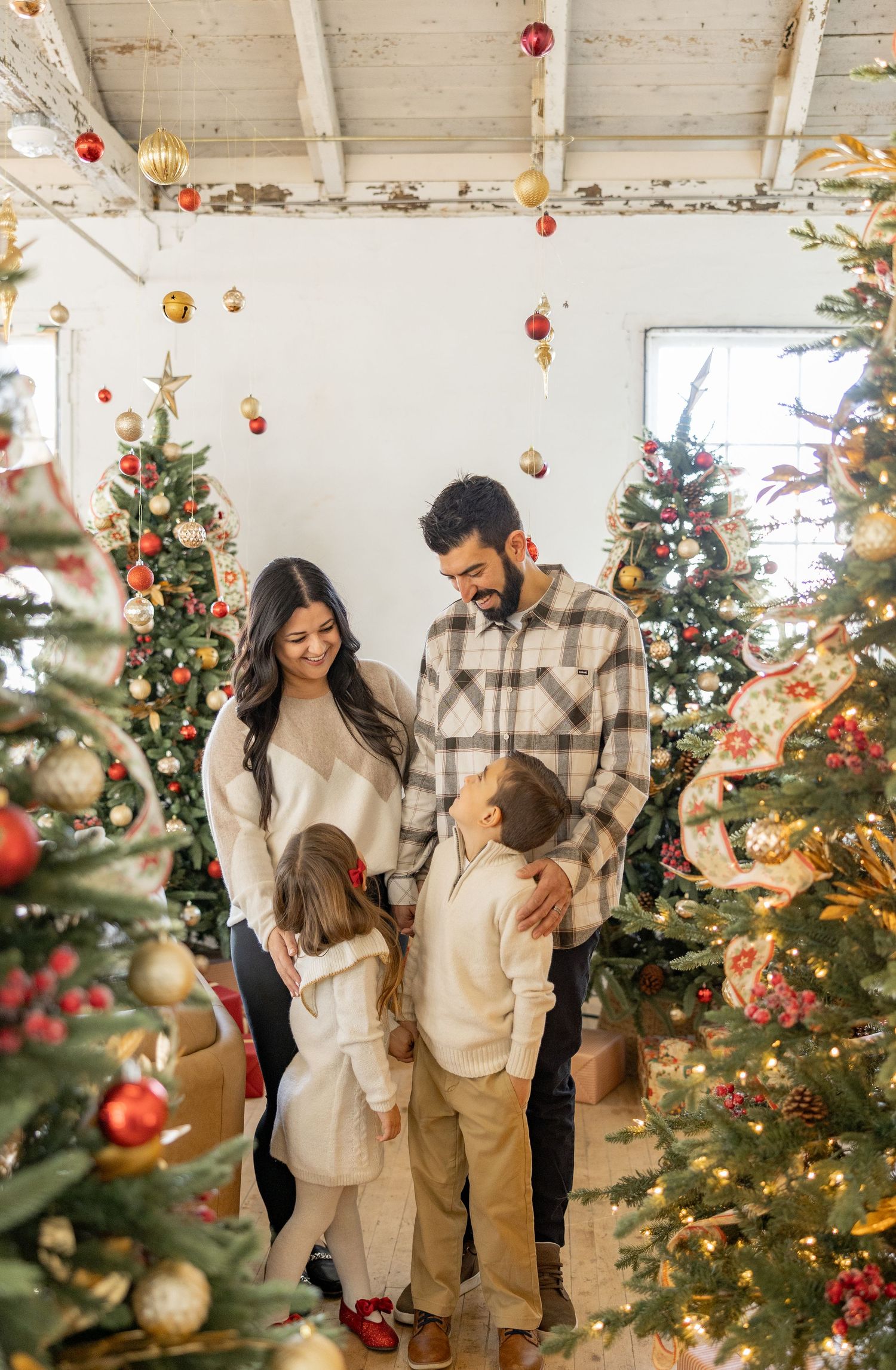 Christmas Minis Photos at Millworks Creative in Hamilton, Ontario.