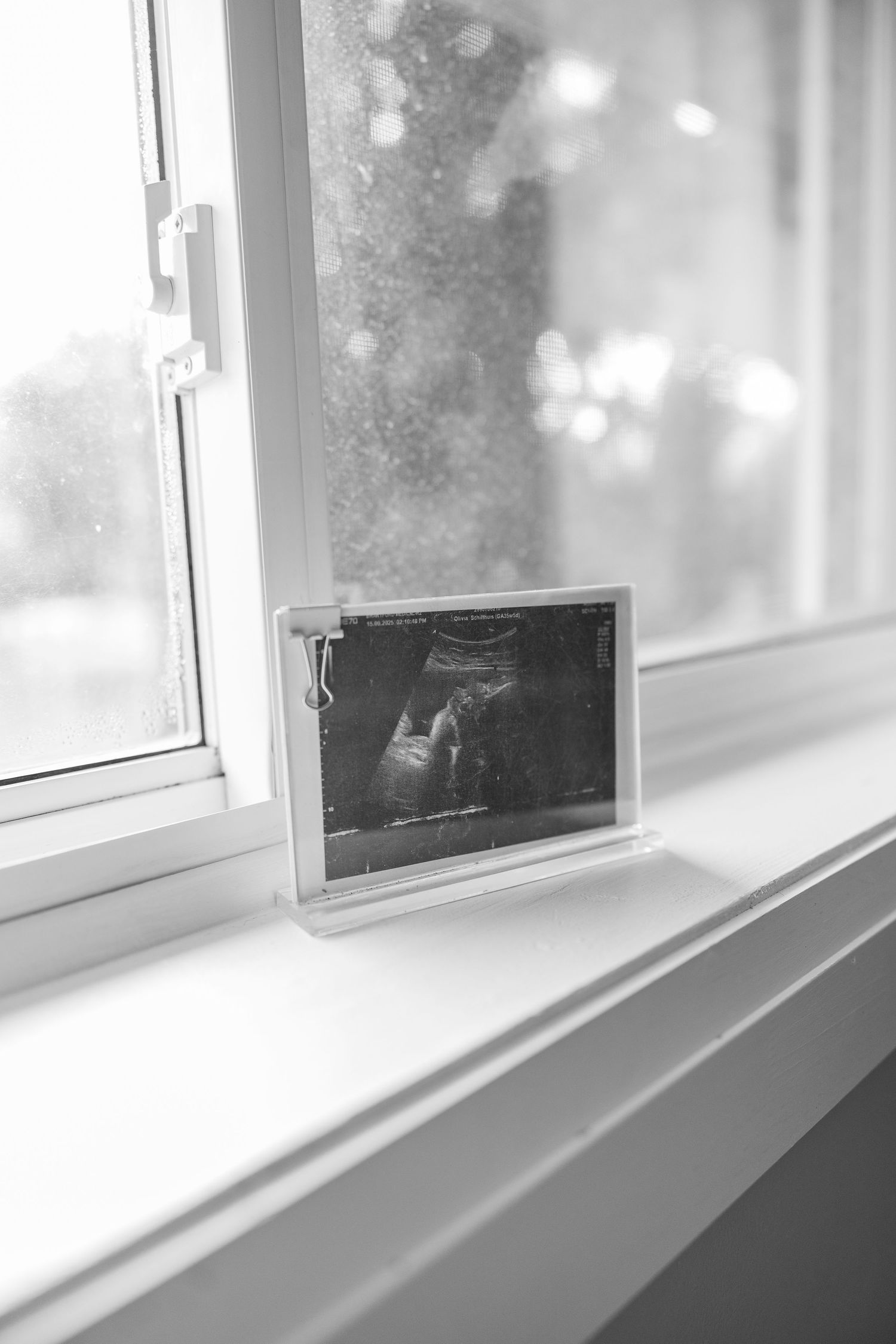 Family Milestone Session in Hamilton, Ontario.