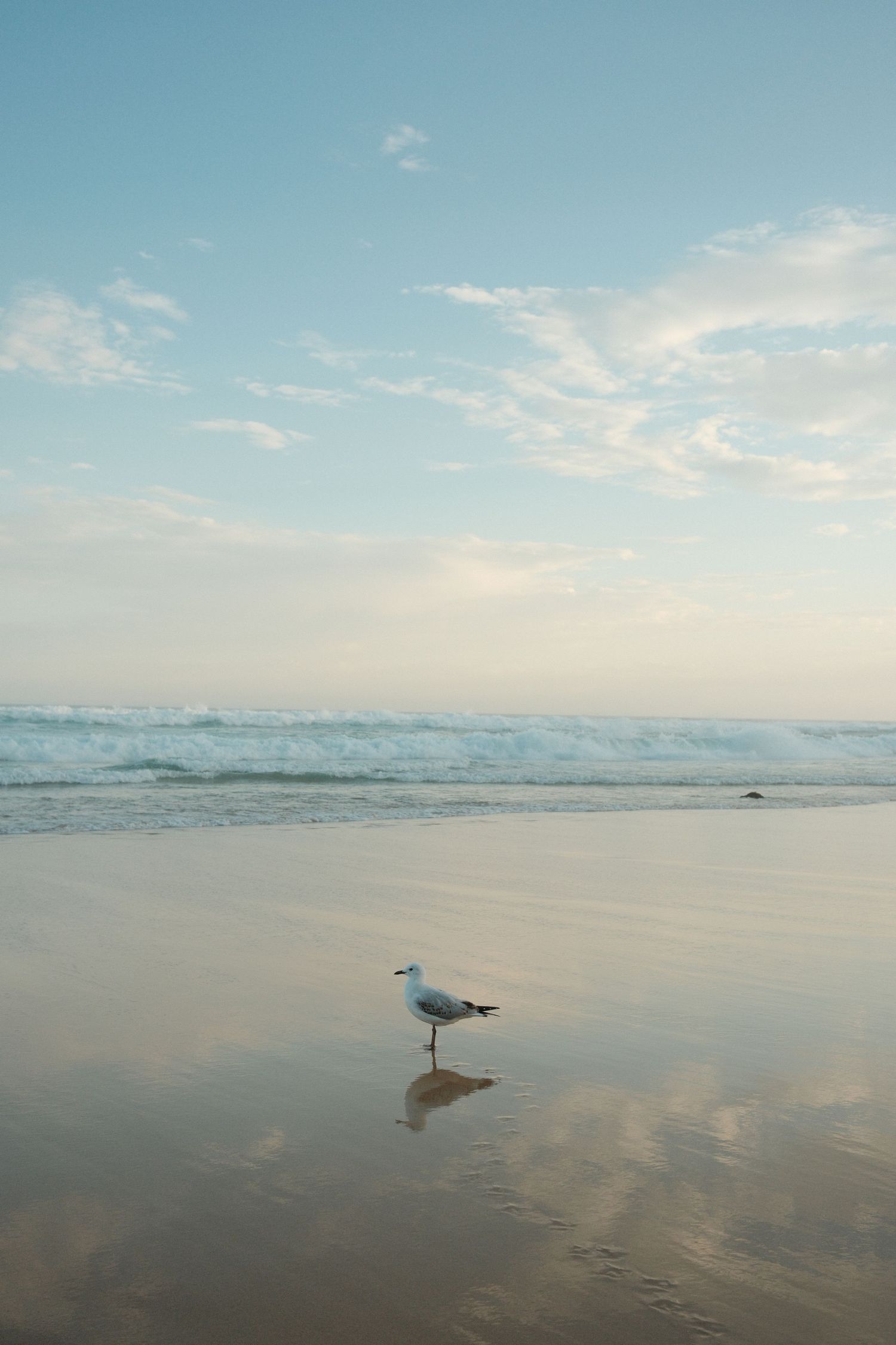 Fujifilm 23mm in Australia.