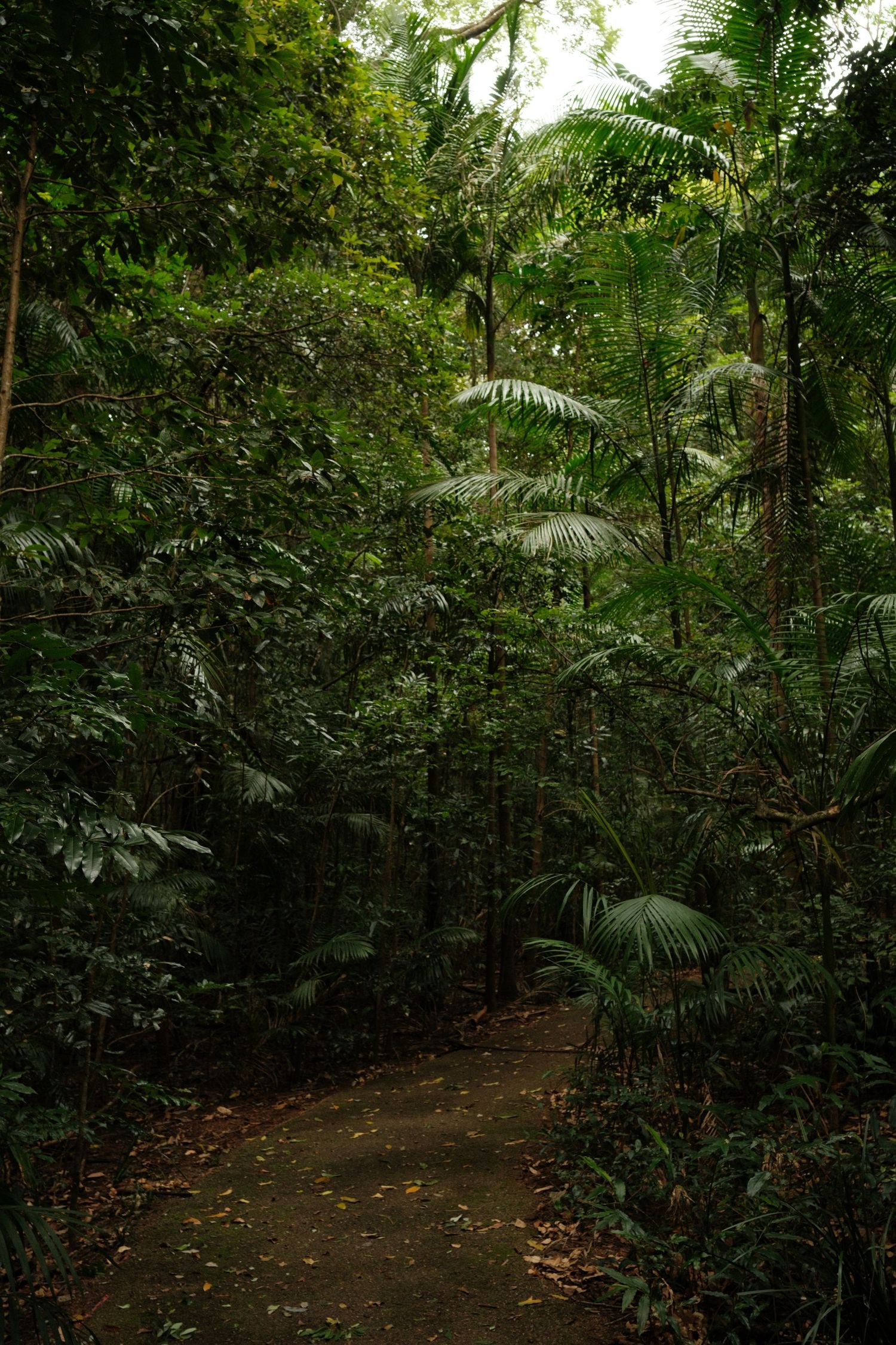 Fujifilm 23mm in Australia.