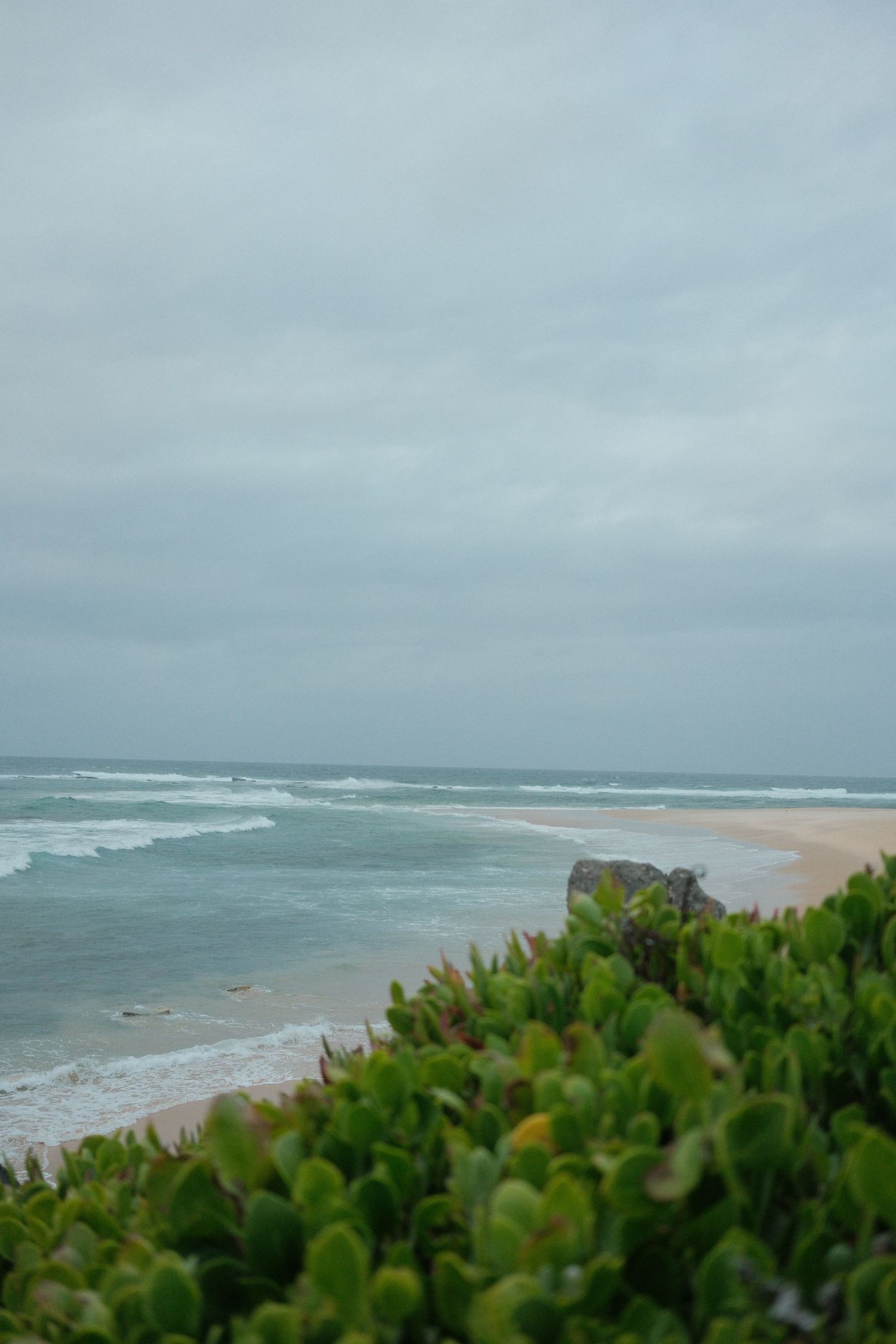 Fujifilm 23mm in Australia.