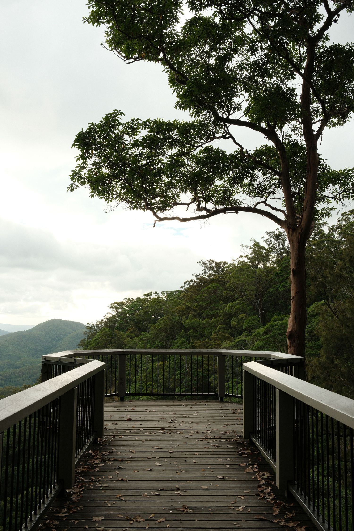 Fujifilm 23mm in Australia.
