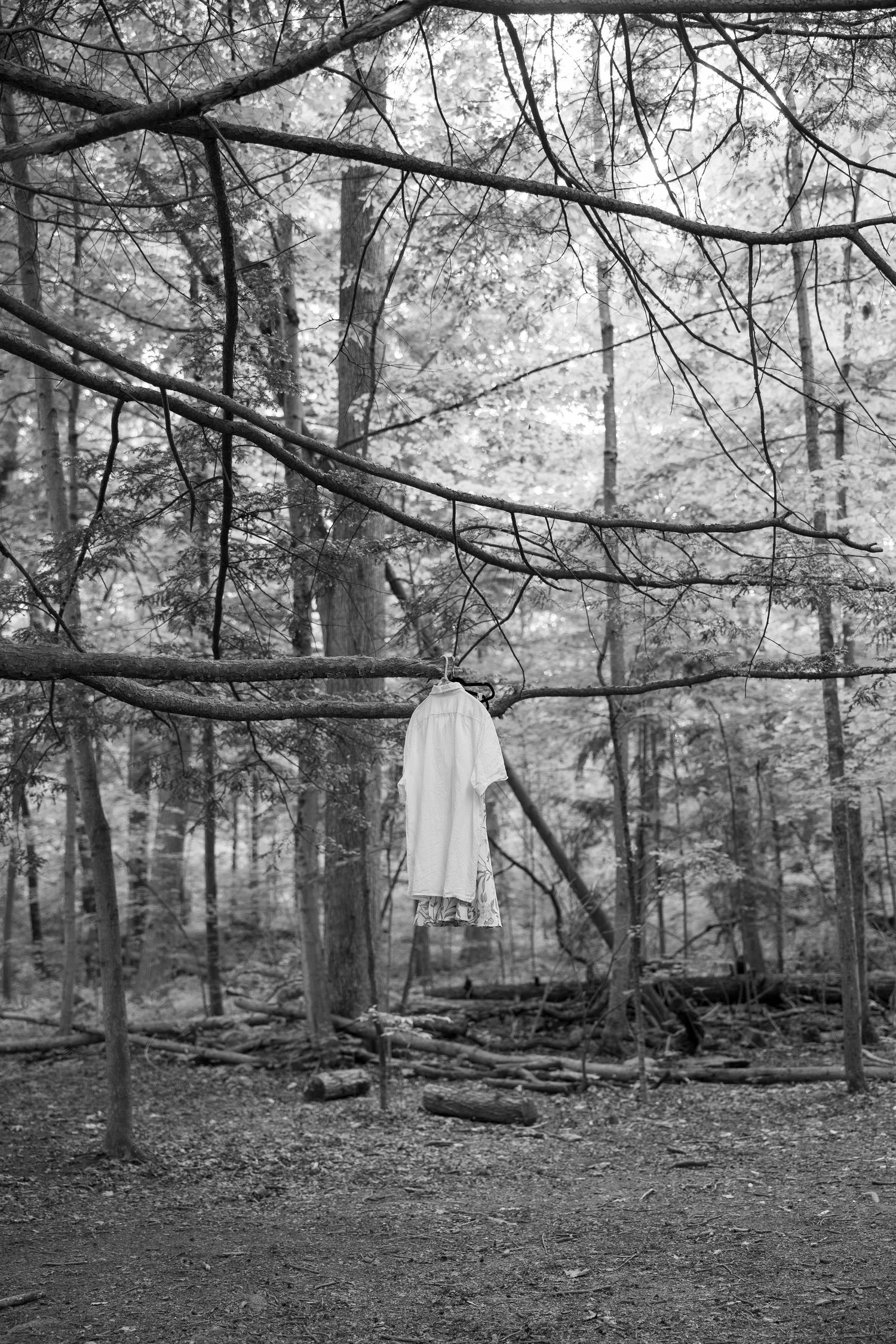 Engagement Session at Balls Falls, Ontario.