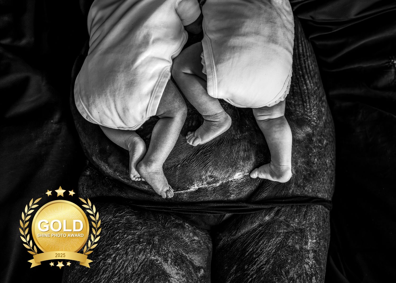 Pure newbornfoto van een pasgeboren baby in een warme, huiselijke omgeving. Award winnend!