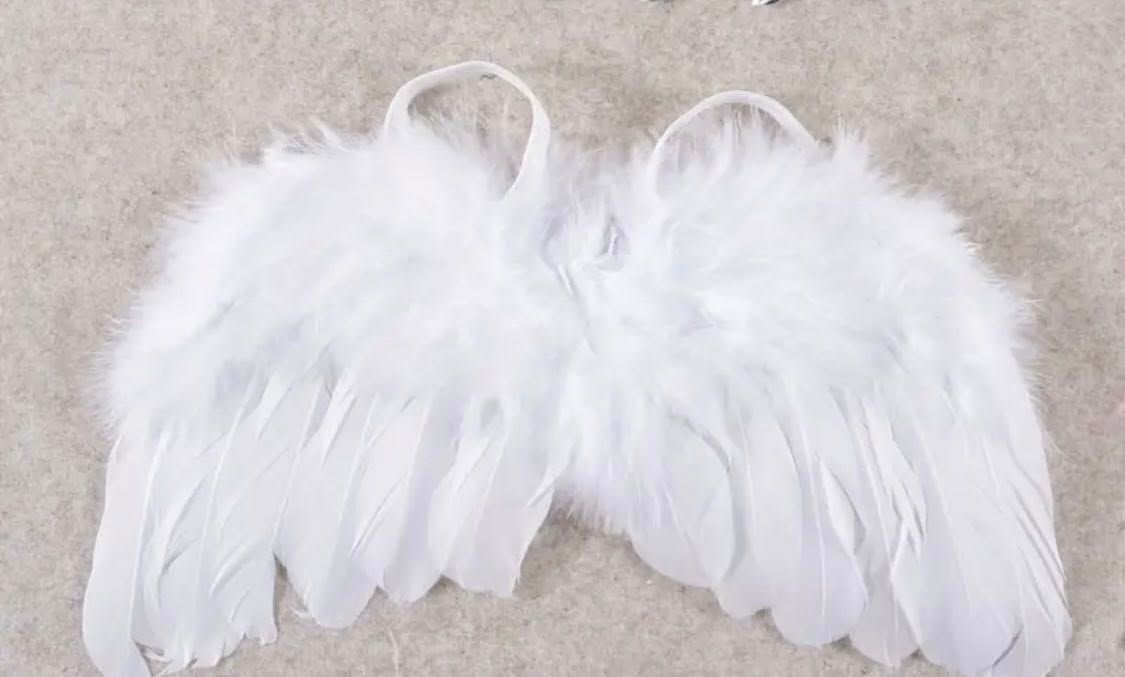 White feathered angel wings arranged in a row on a light beige background for babies