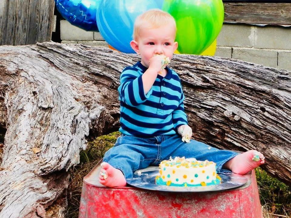 A first birthday celebration outdoors with colorful balloons, cake and a fallen log as seating.
