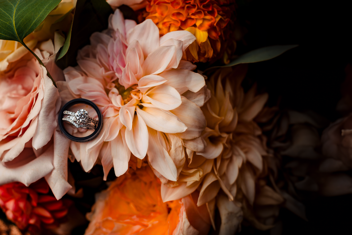 Wedding rings displayed artistically among peach and orange flowers in dramatic lighting. Taken by Rhode Island Wedding Photographer
