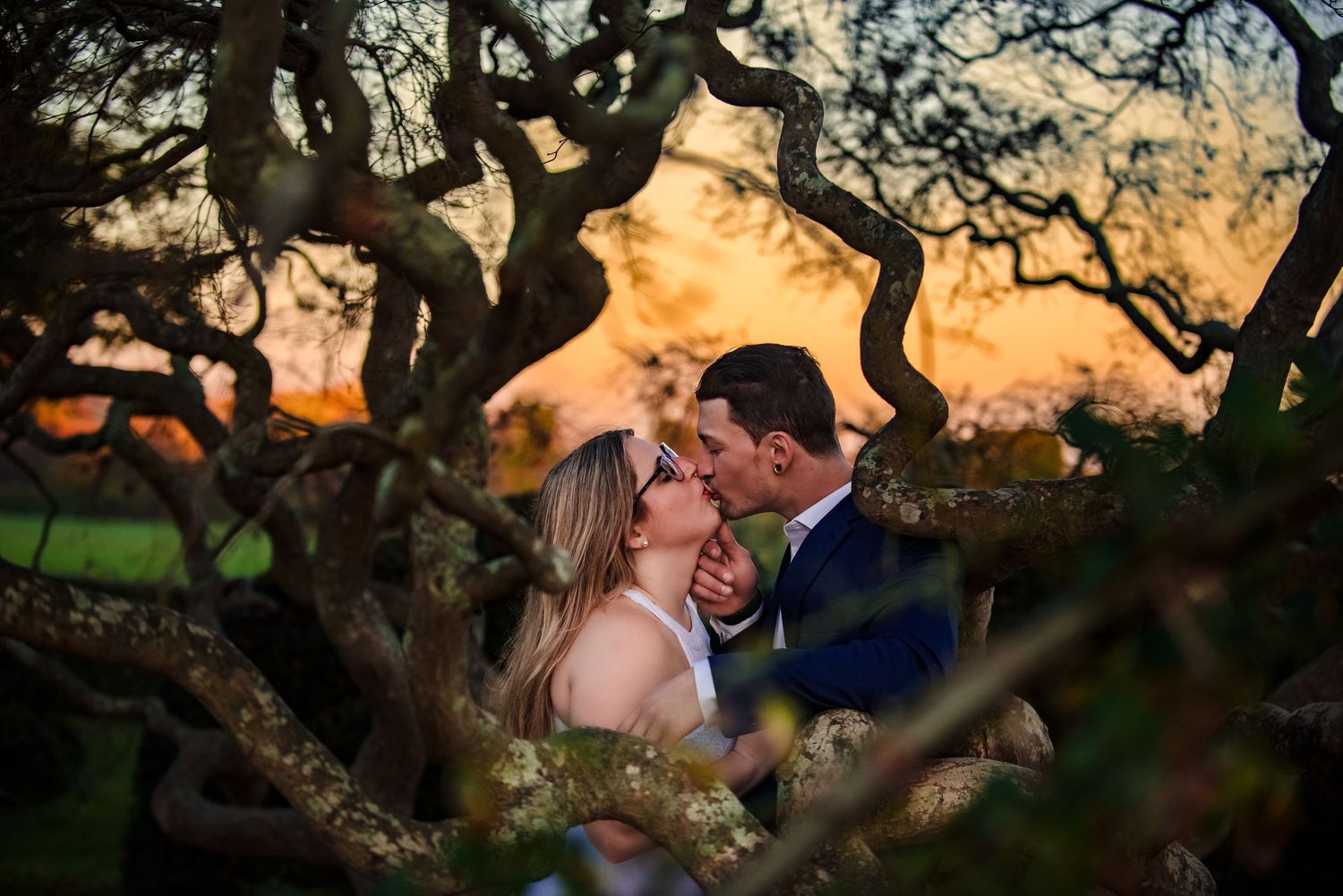 A romantic couple shares an intimate moment beneath a tree silhouetted against a golden sunset sky.