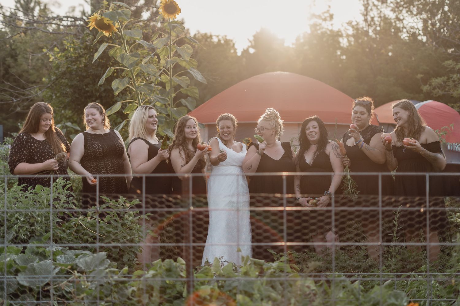 Wedding party poses along rustic fence during golden hour.