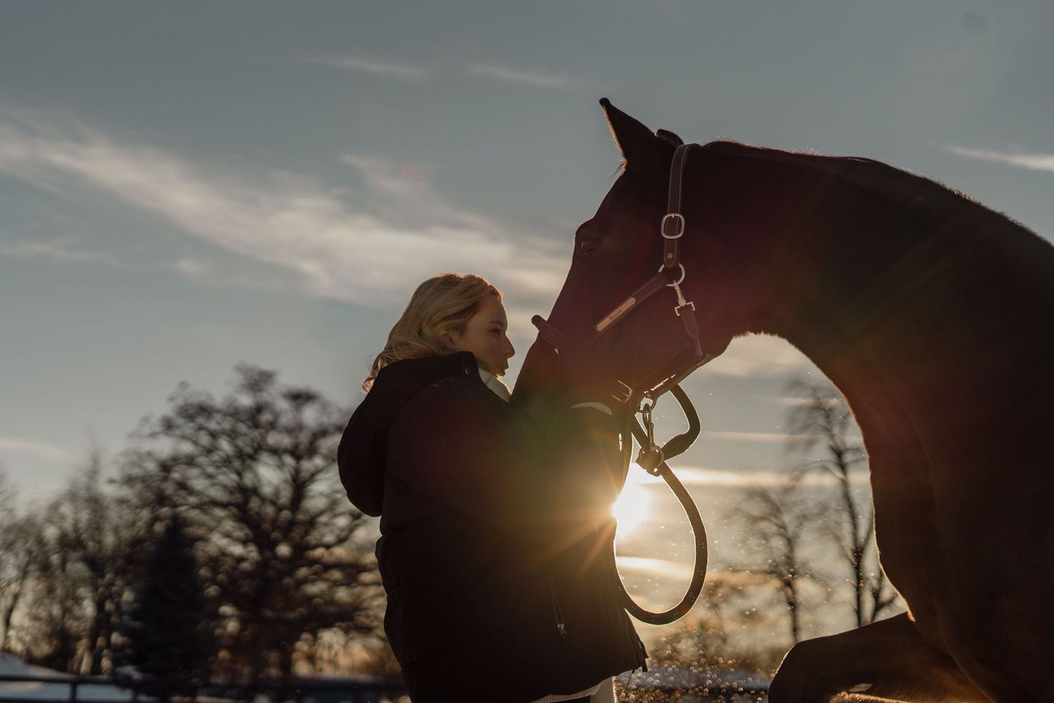 Silhouette of woman and dark horse sharing a tender moment at sunset in winter.