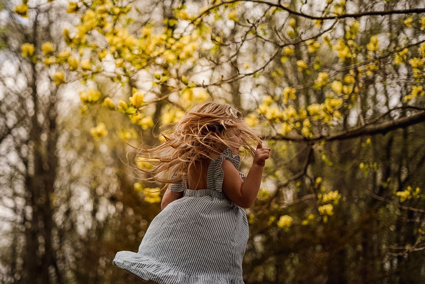 Autumn engagement photos with yellow leaves and natural light.