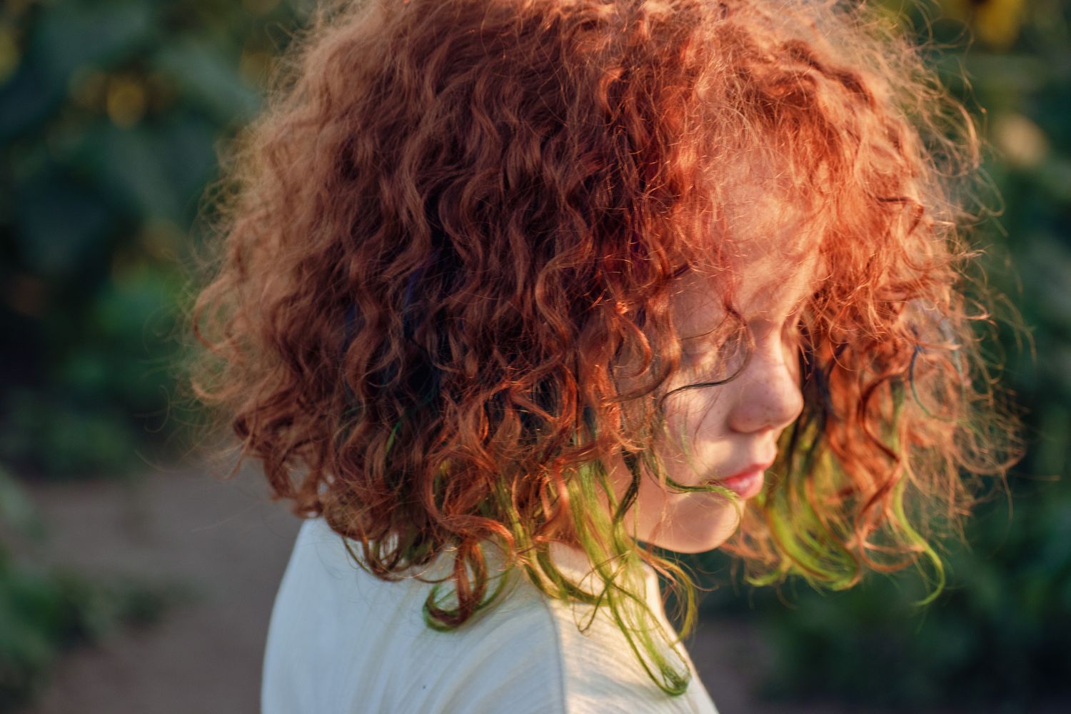 Vibrant red curly hair illuminated by natural sunlight.