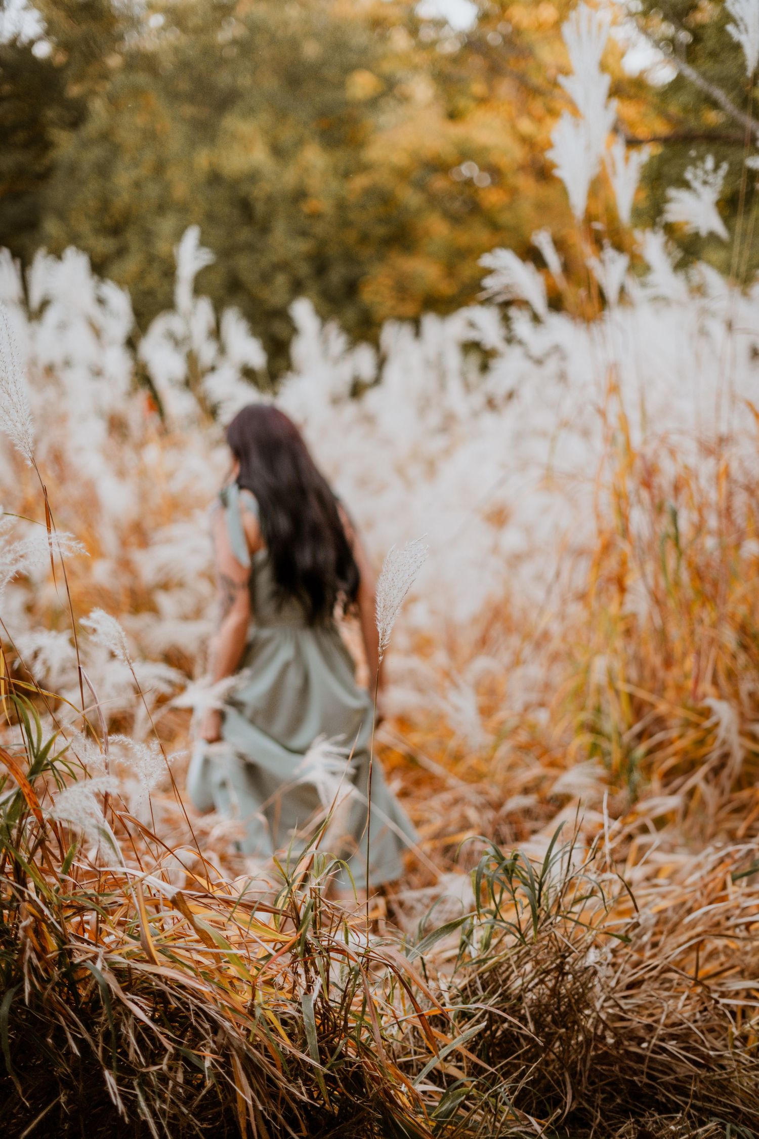 Artistic autumn field photography with tall golden grass in the foreground.