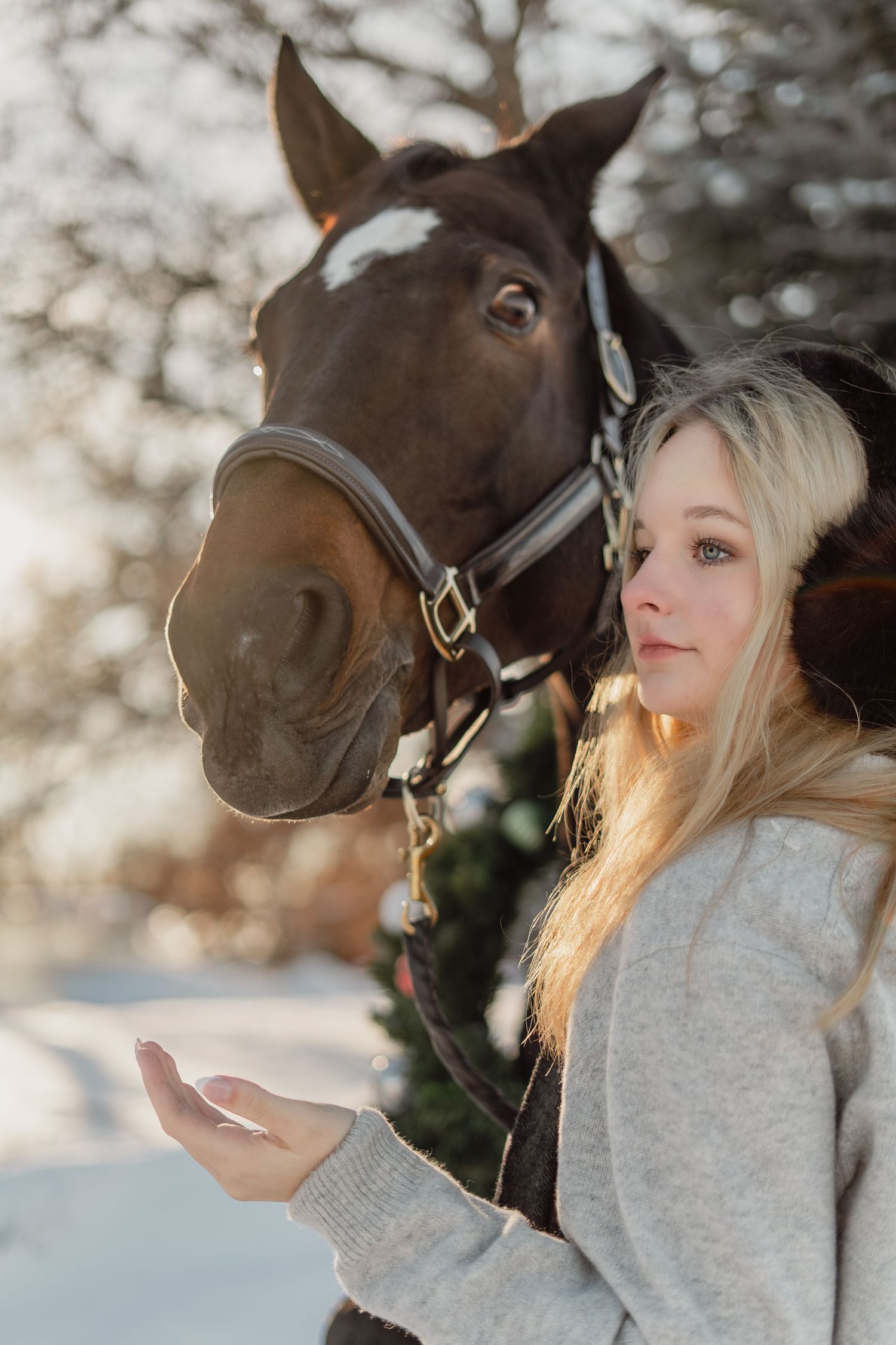 Blonde woman in winter earmuffs offering her hand to a dark brown horse outdoors in snowy setting.