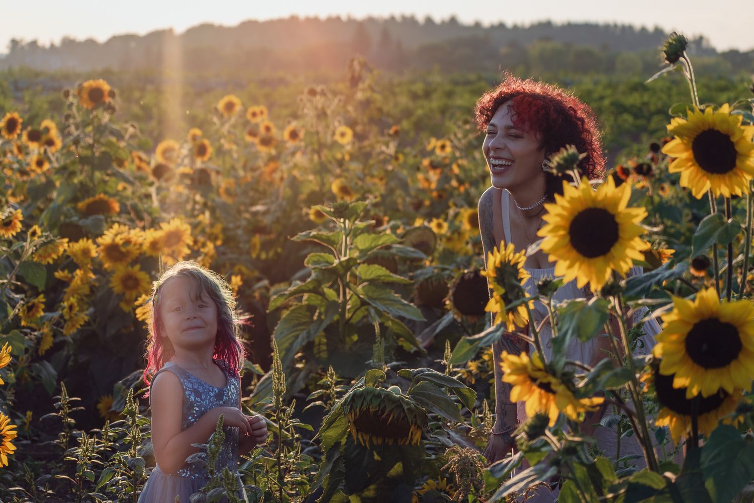 Golden sunflowers field at sunset with warm lighting.