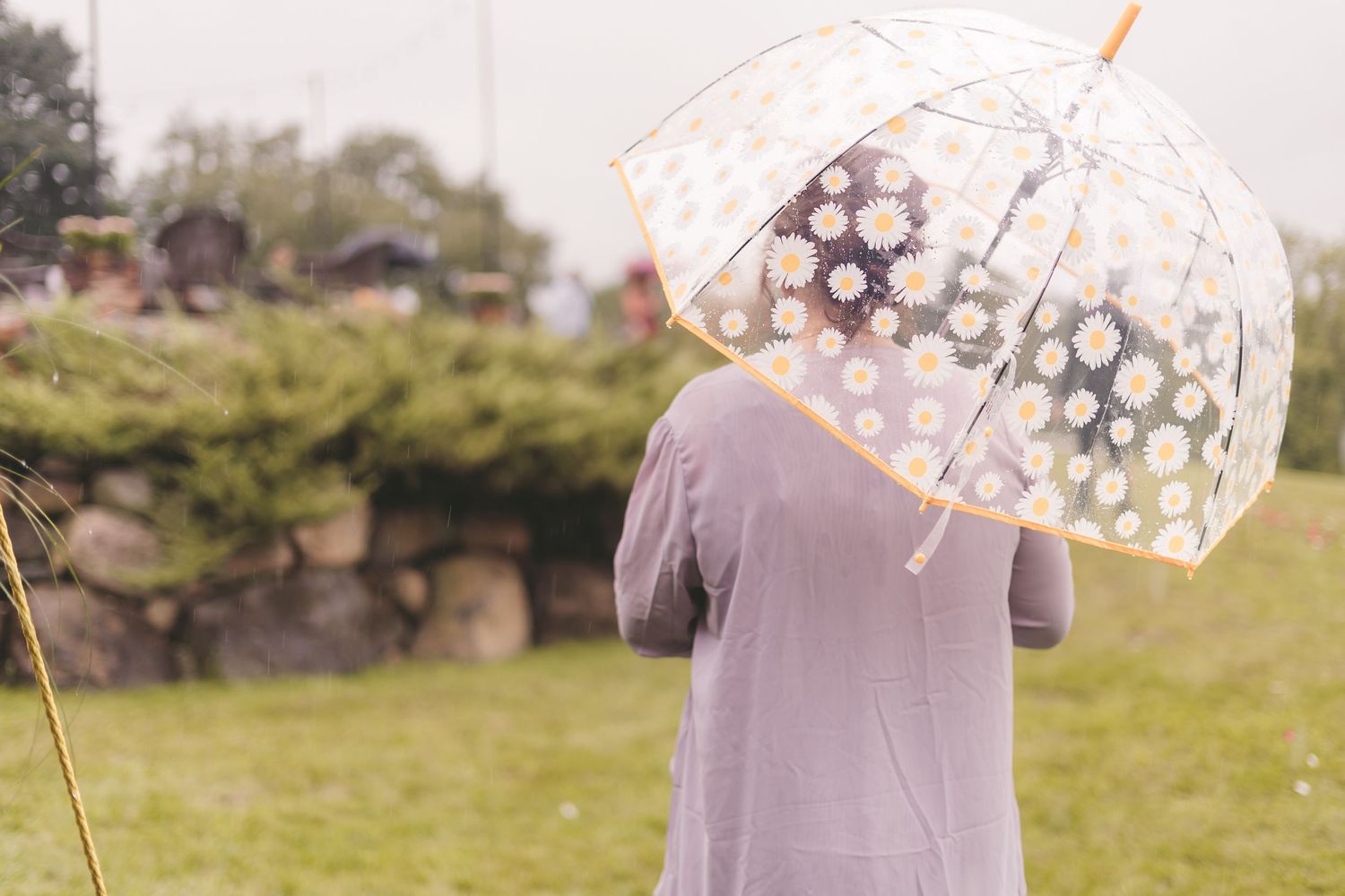 Person holding a clear umbrella with daisy pattern on a rainy day in a lush green garden.