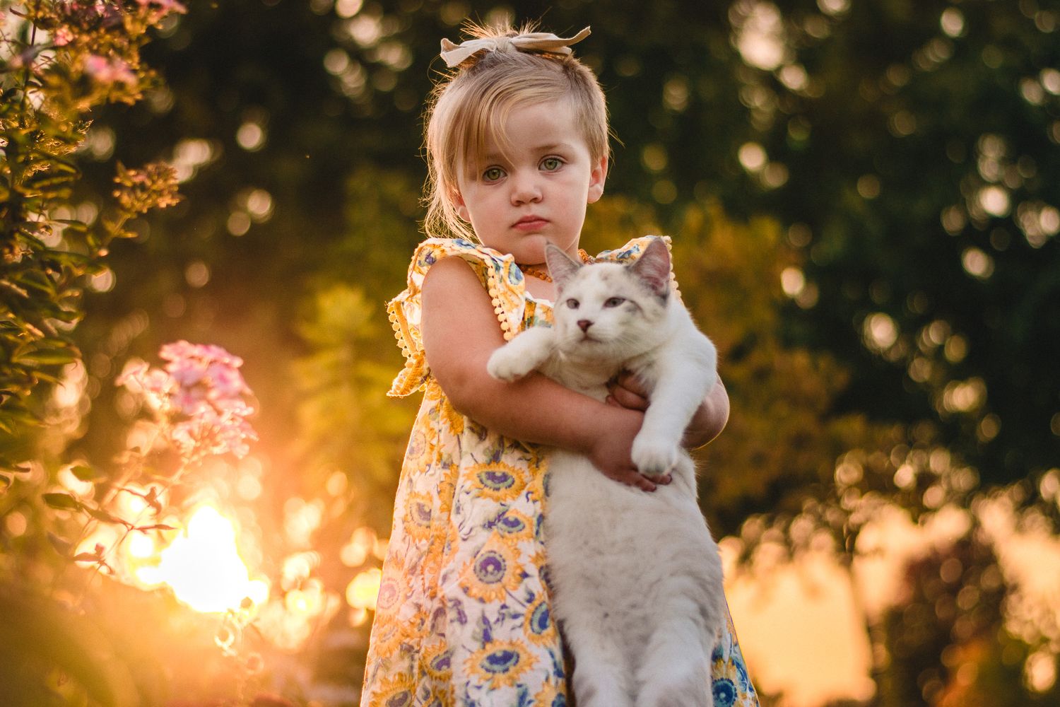 A young child in a floral dress holds a white cat during sunset in a garden.
