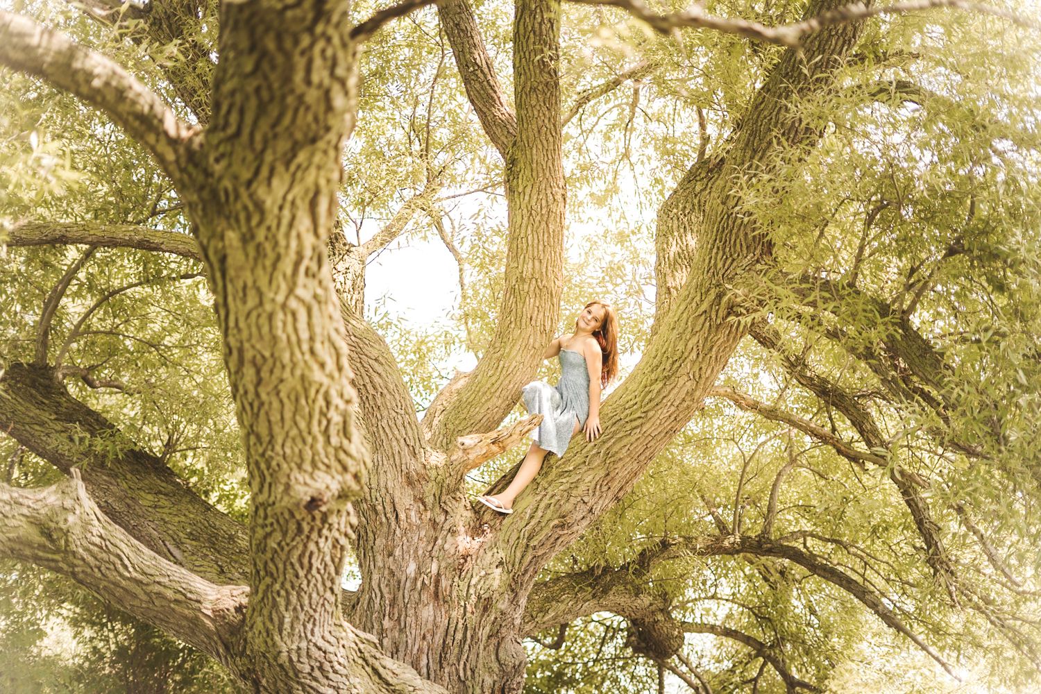 A young woman with long hair sits relaxed in the large branches of a sunlit tree surrounded by lush green foliage.