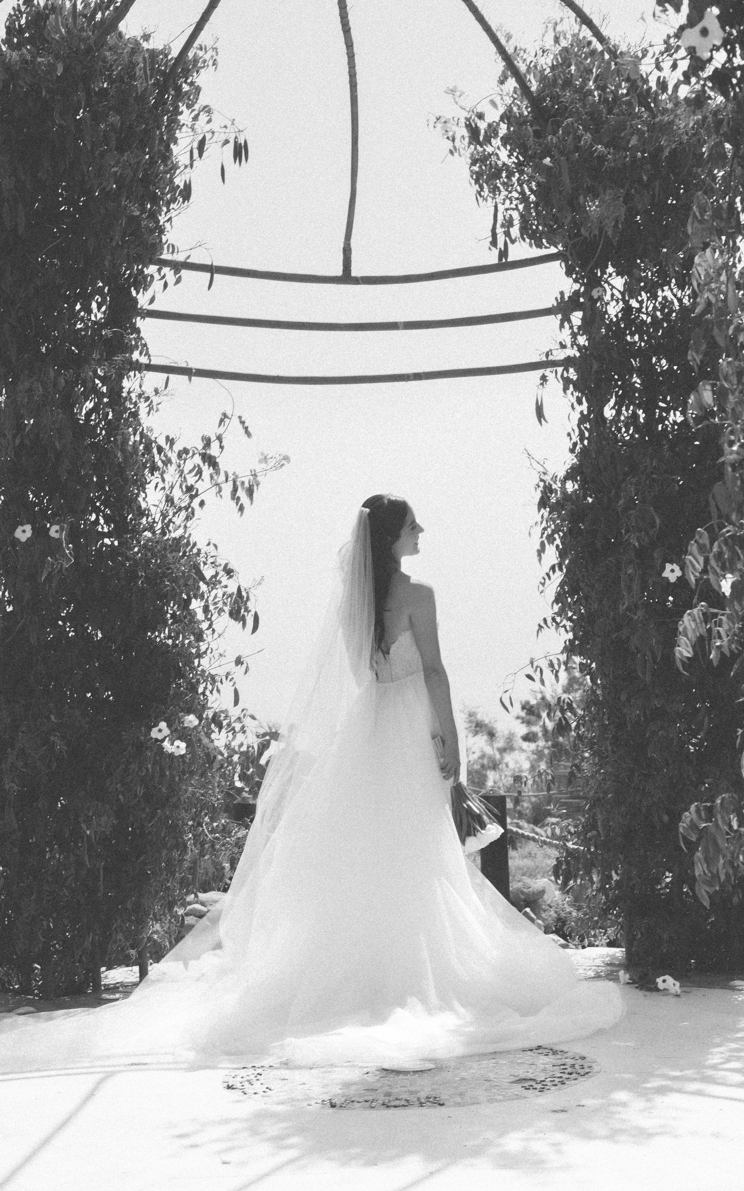 Cobertura documentalista de Bodas Destino en Baja California, Valle de Guadalupe, Tijuana, Ensenada. 50+ Bodas High-End desde 2023. Paquetes