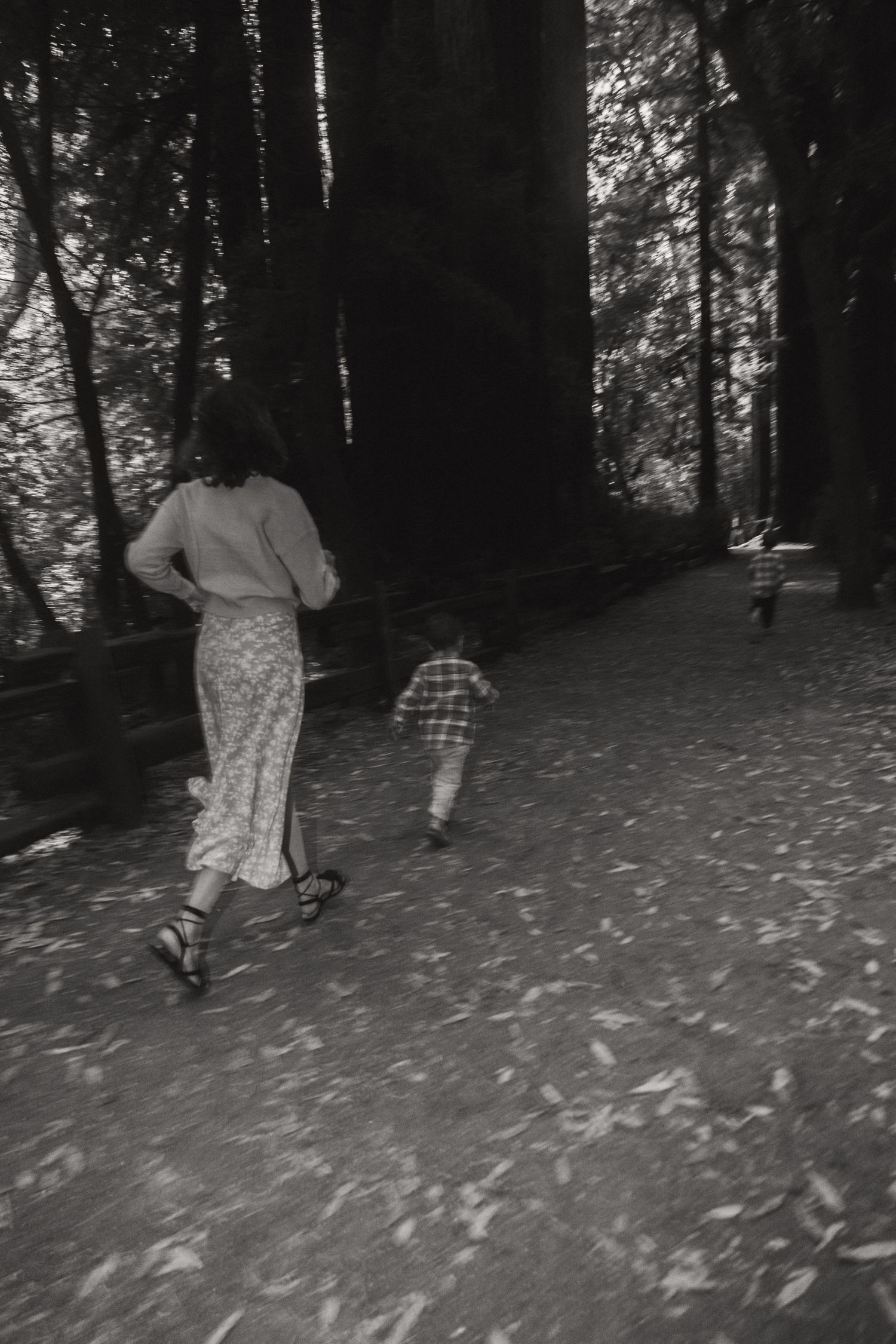 Black and white photo of people walking through a misty redwood forest.
