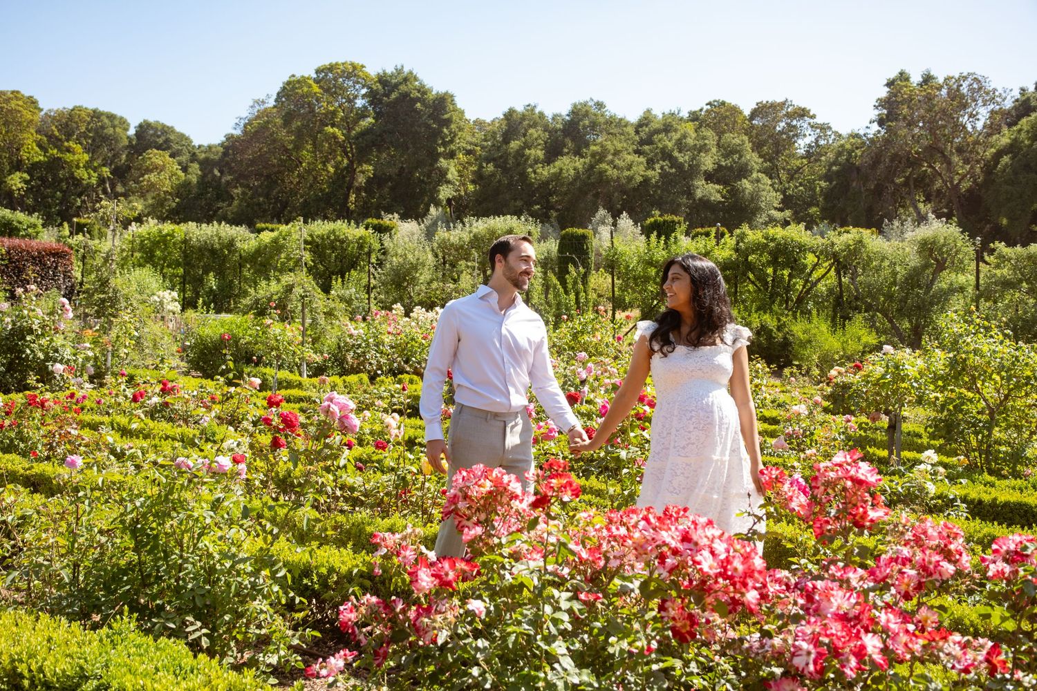 Couple walking through garden with vibrant pink flowers in bloom.