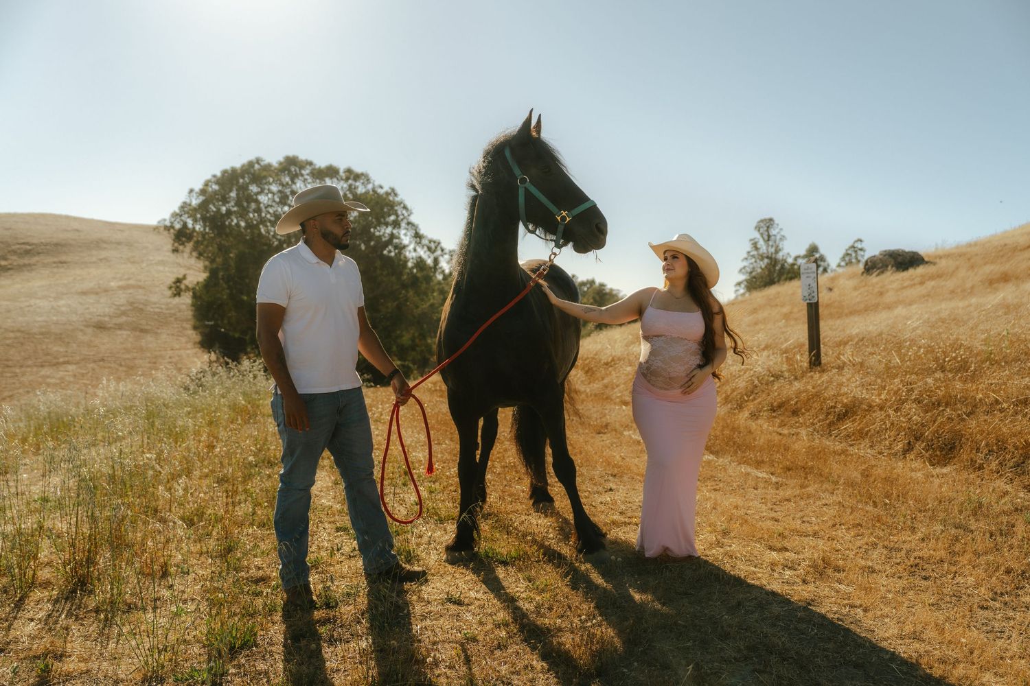 A couple stands with a black horse in a sunny golden field, woman in pink dress and wide hat.